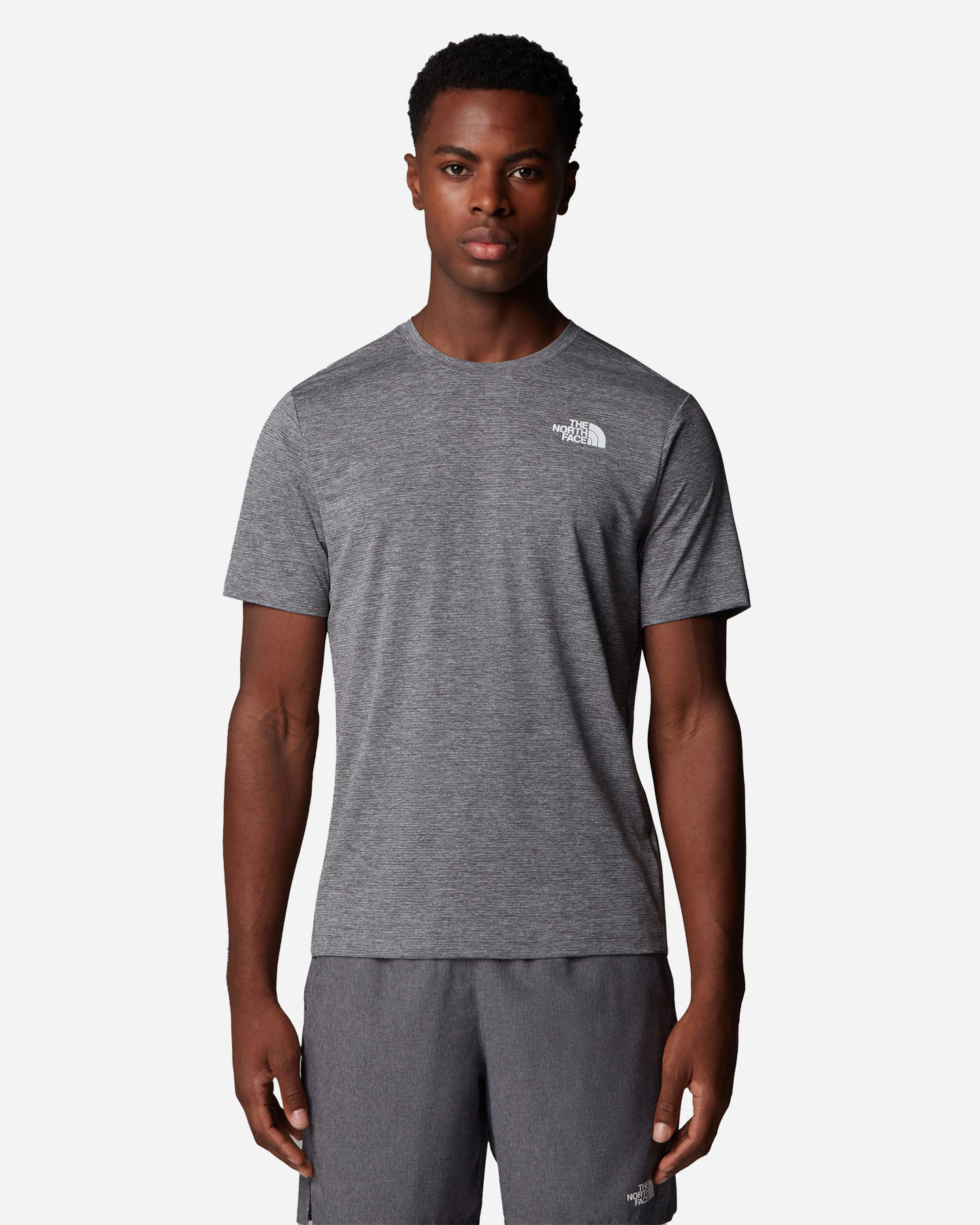 T-shirt THE NORTH FACE 24-7 M - Grigio - 2 | Cisalfa Sport