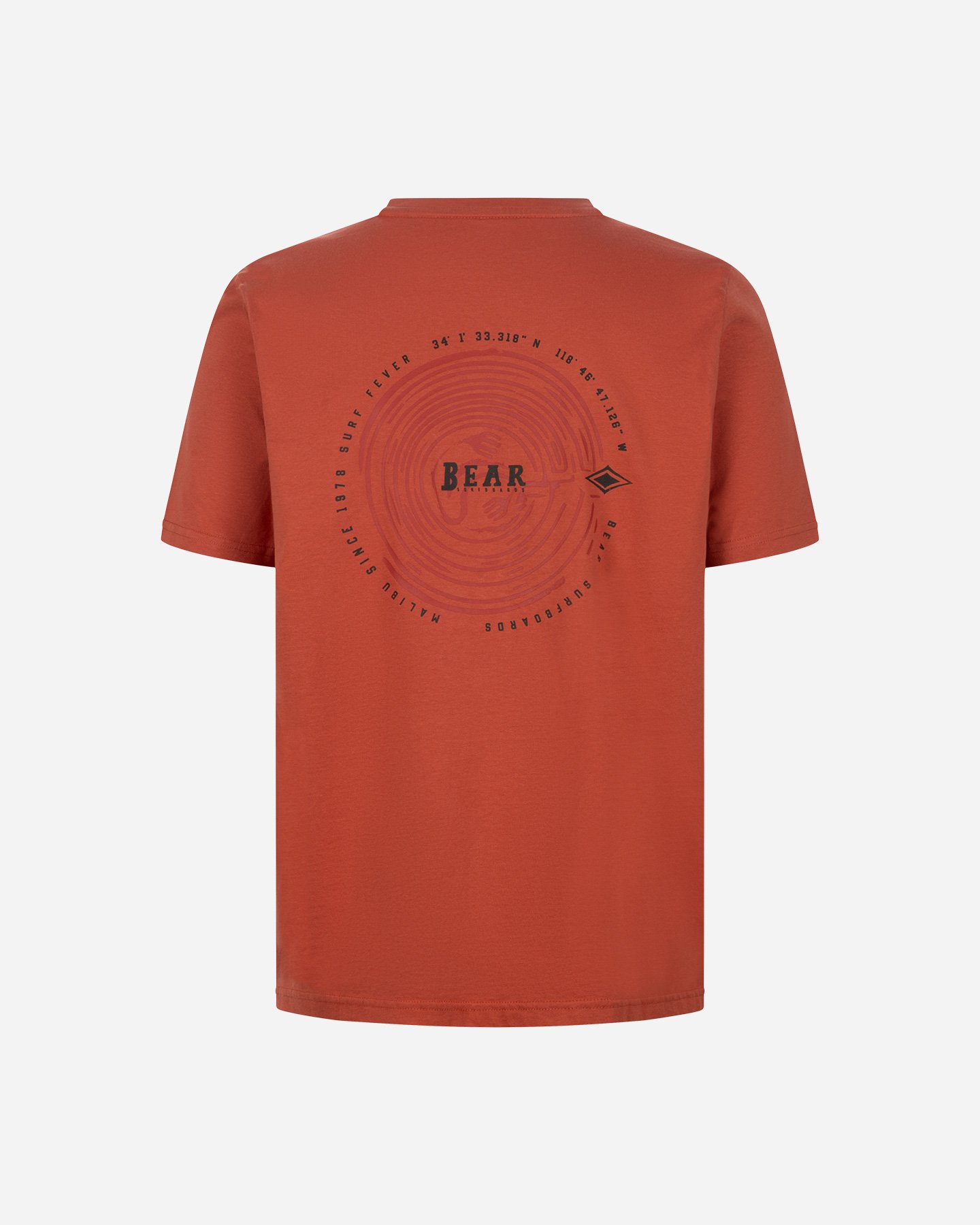 T-shirt BEAR SHORE BREAK M - Marrone - 1 | Cisalfa Sport