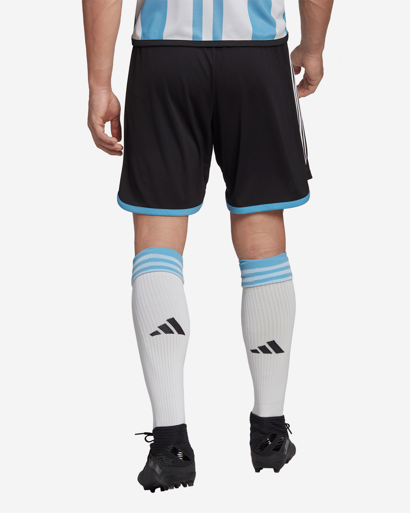 Pantaloncini calcio ufficiali ADIDAS ARGENTINA HOME M - 2 | Cisalfa Sport