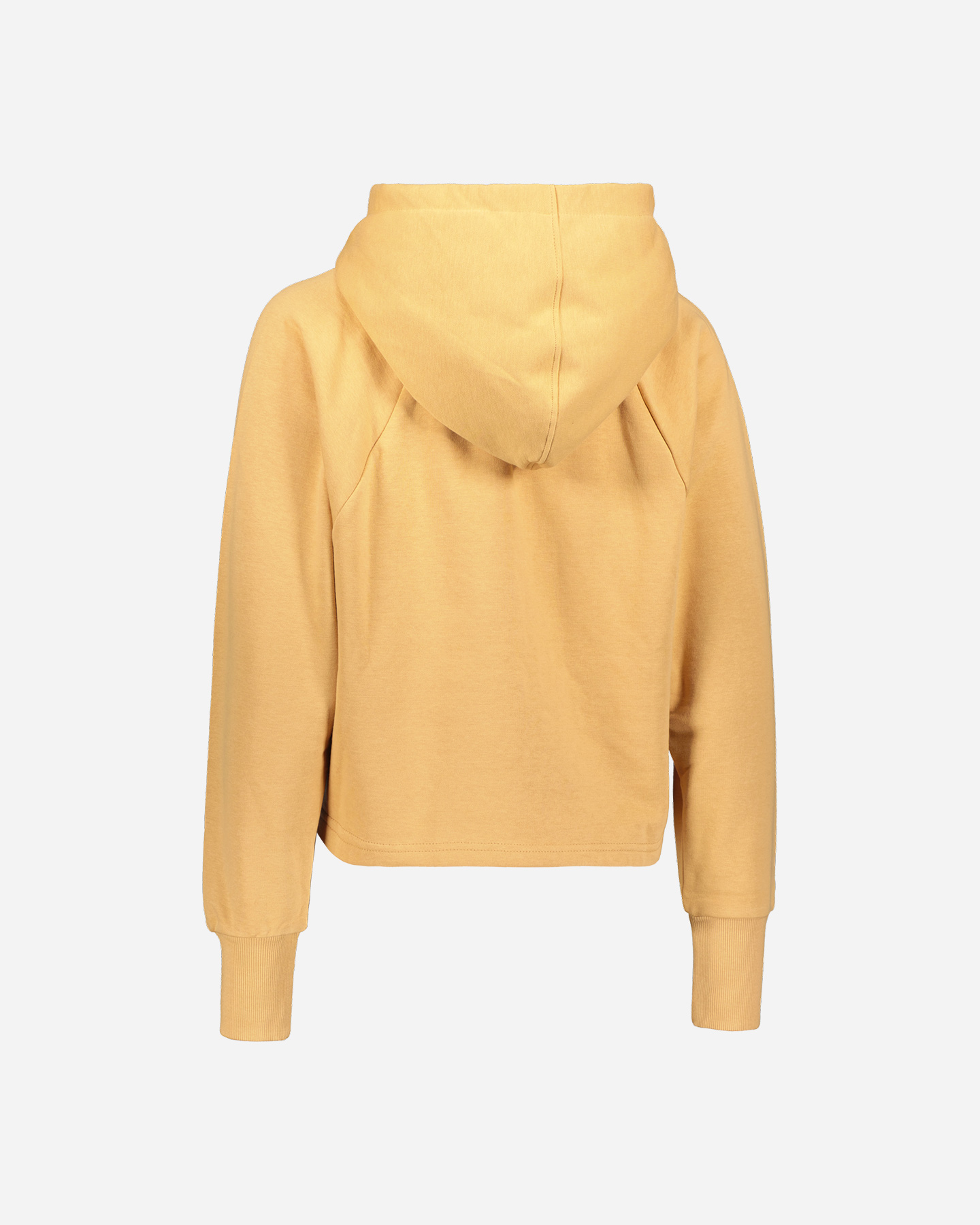 Felpa ARENA LIFESTYLE W - Beige - 1 | Cisalfa Sport