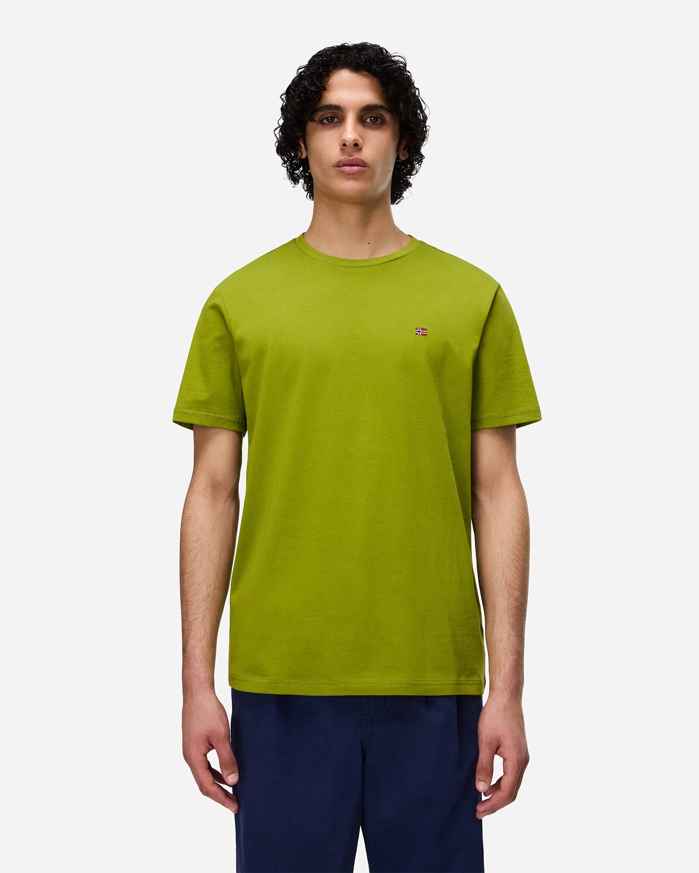 T-shirt NAPAPIJRI SALIS M - Verde - 2 | Cisalfa Sport