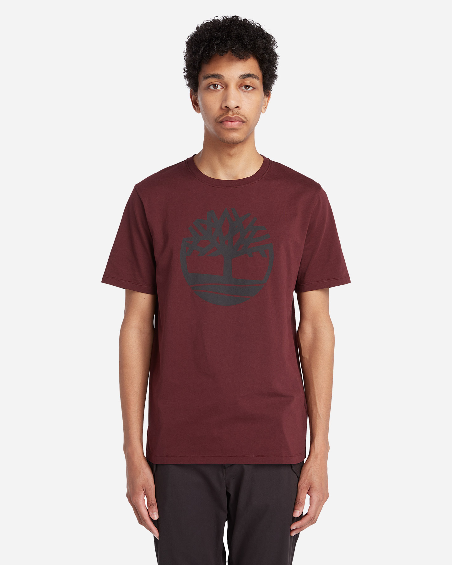 T-shirt TIMBERLAND KENNEBEC M - Rosso - 1 | Cisalfa Sport