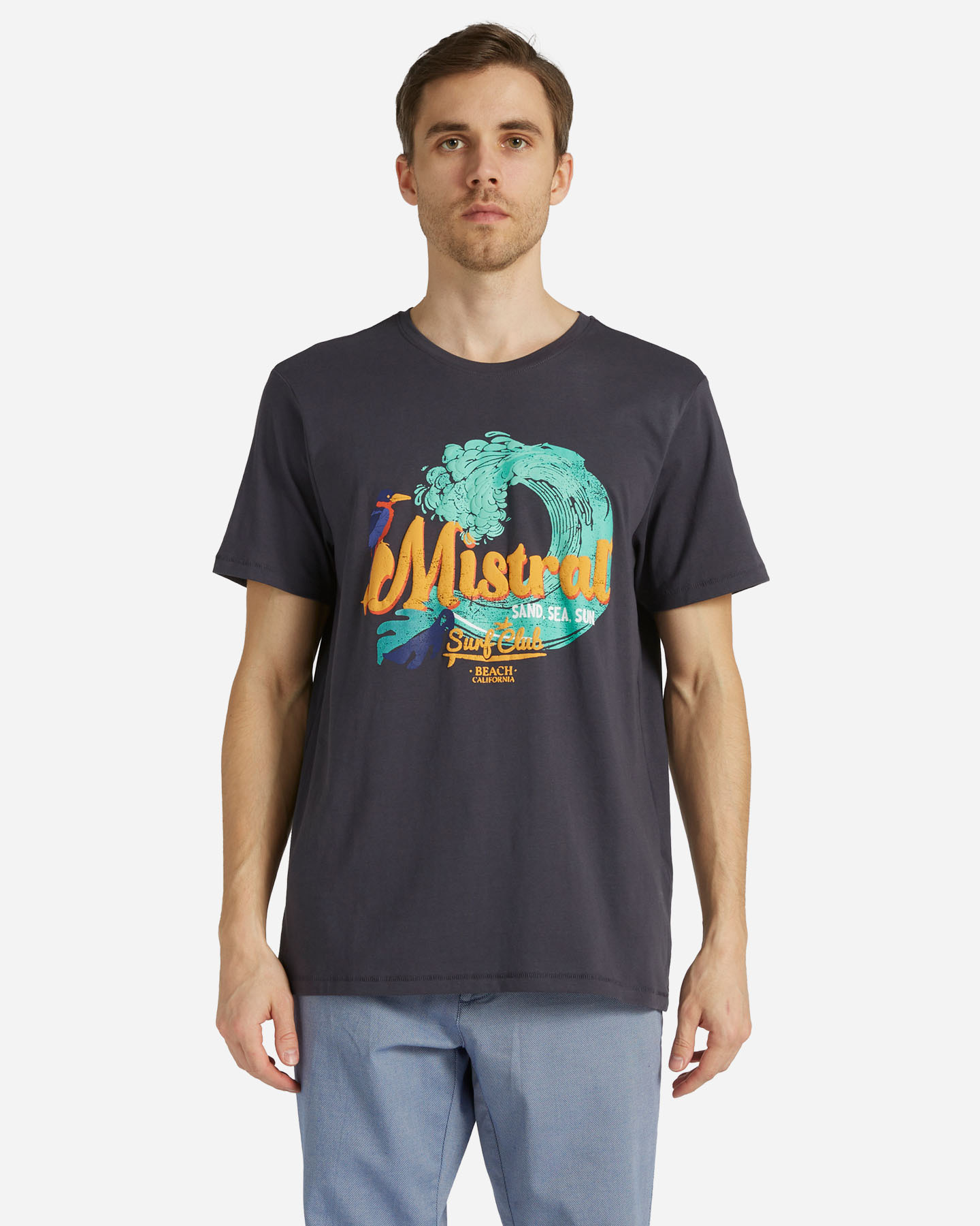 T-shirt MISTRAL SAND SEA SUN M - Grigio - 0 | Cisalfa Sport