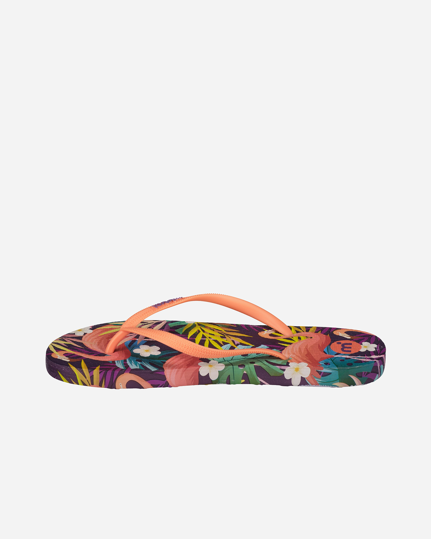 Infradito MISTRAL PRINT W - Color mix - 4 | Cisalfa Sport