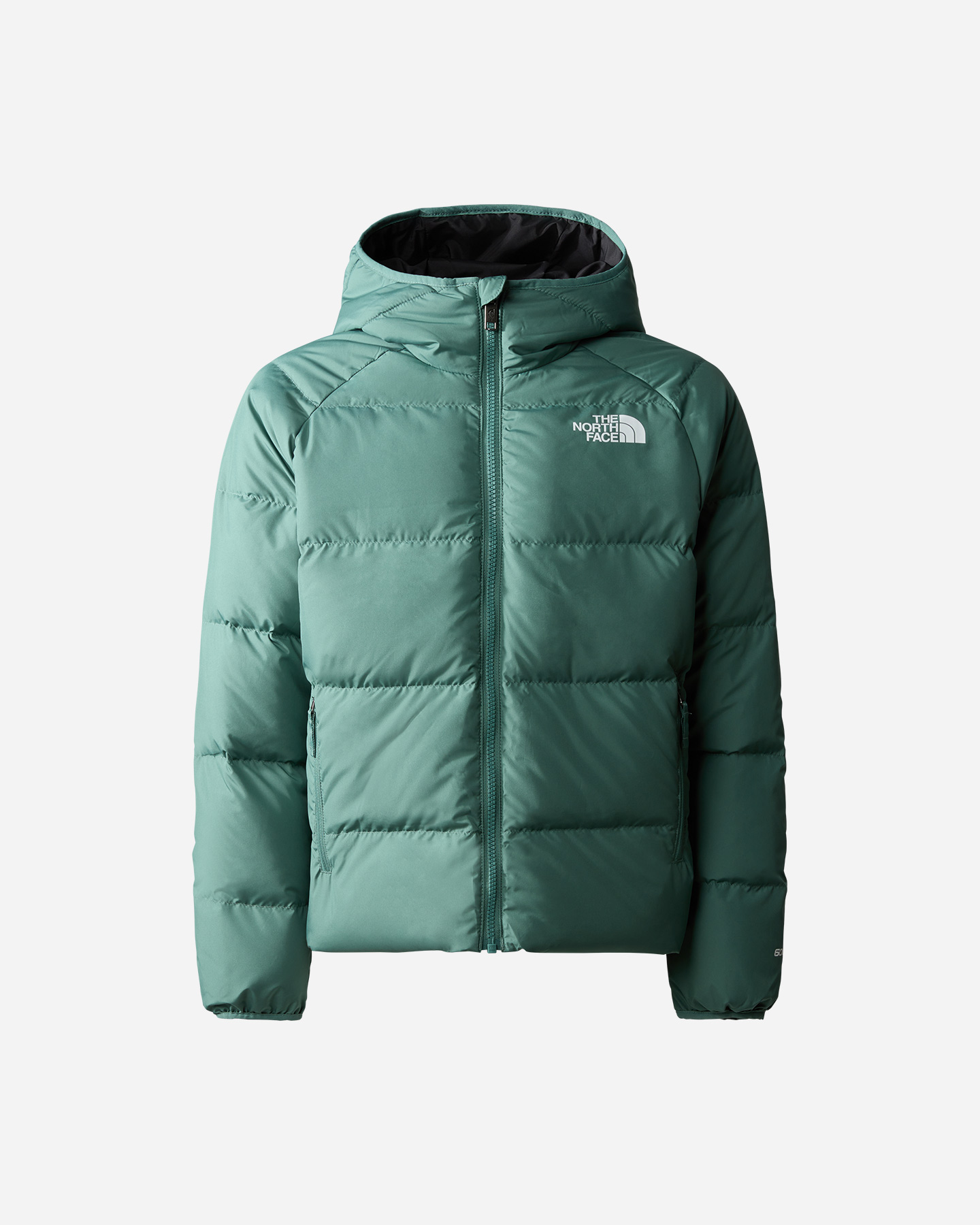 Piumino THE NORTH FACE NORTHD JR - Verde - 0 | Cisalfa Sport