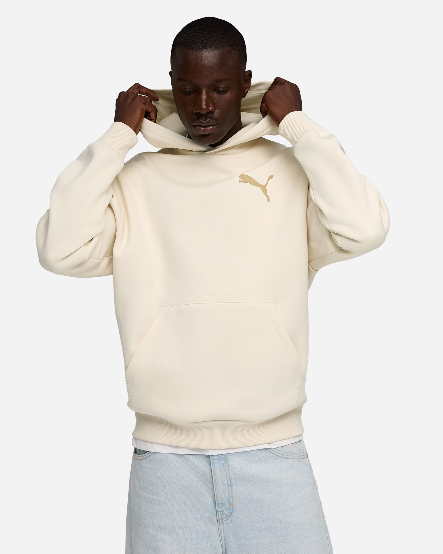 Felpa PUMA ESSENTIAL ELEVATED CAT LOGO M - Beige - 2 | Cisalfa Sport