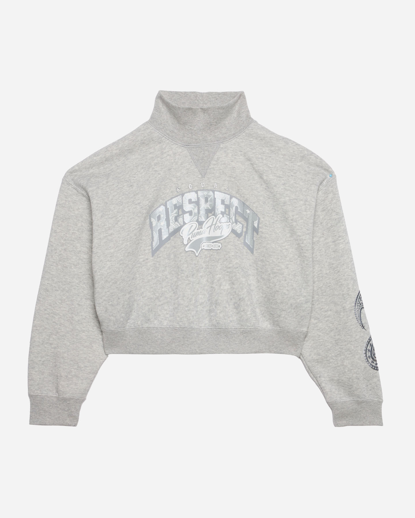 Felpa PUMA PUFF PRINT JR - Grigio - 0 | Cisalfa Sport