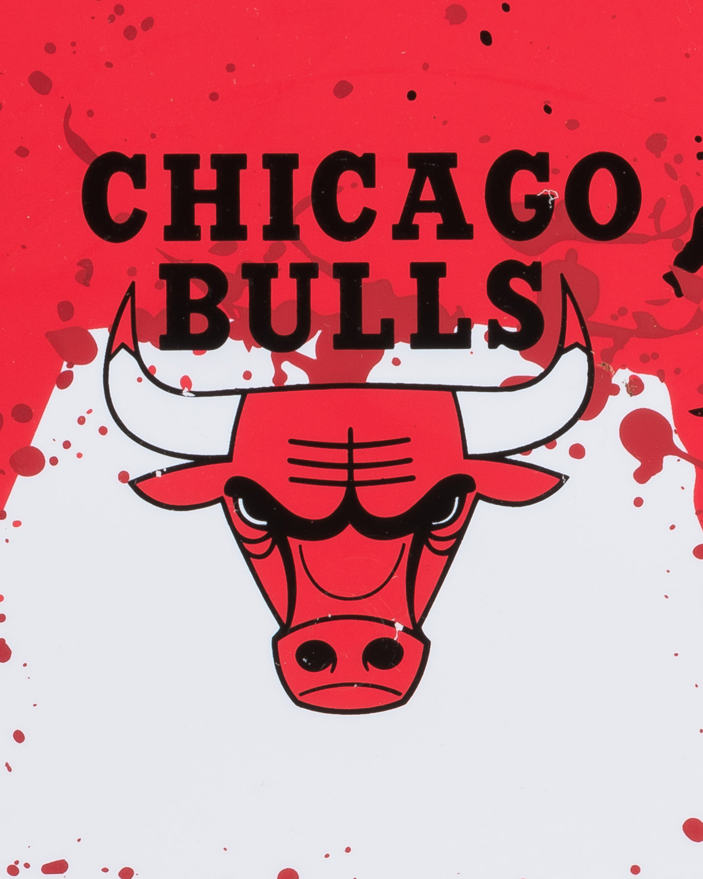 Mini canestro WILSON NBA TEAM CHICAGO BULLS - Rosso - 1 | Cisalfa Sport