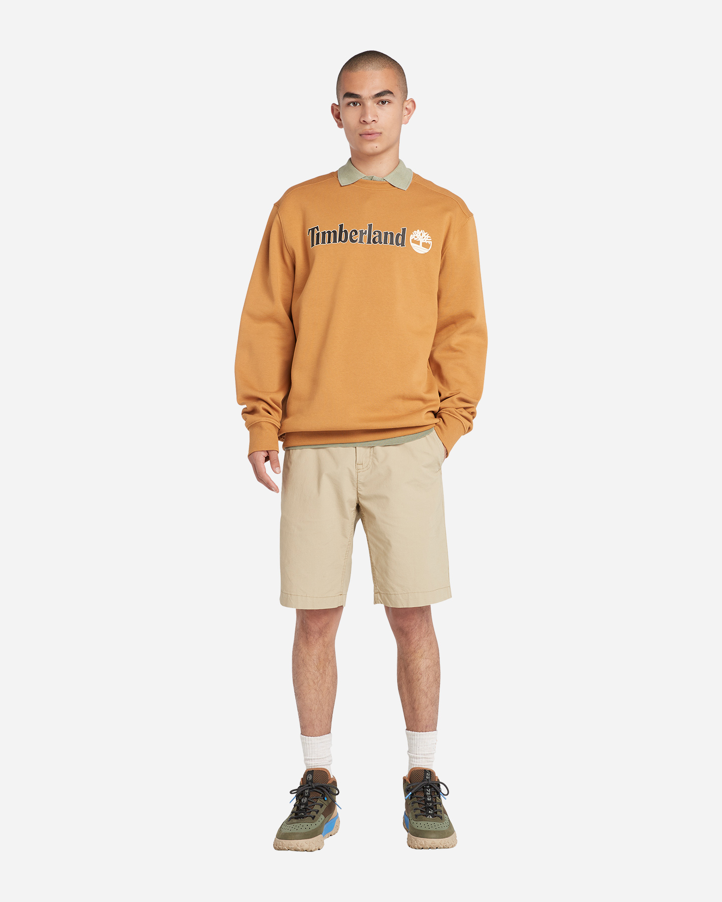 Bermuda TIMBERLAND CHINO M - Verde - 3 | Cisalfa Sport