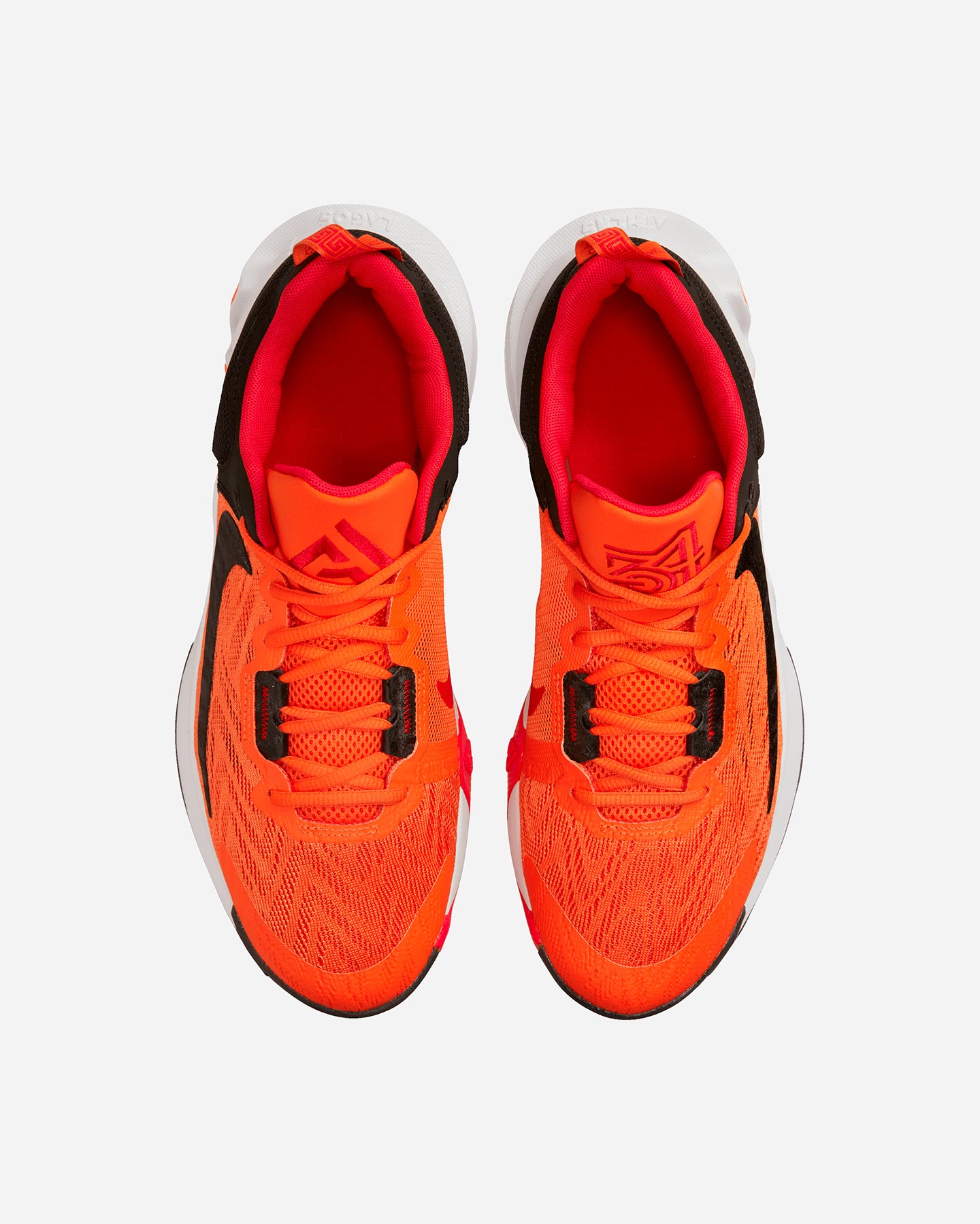 Scarpe basket NIKE GIANNIS IMMORTALITY 2 M - 21 | Cisalfa Sport