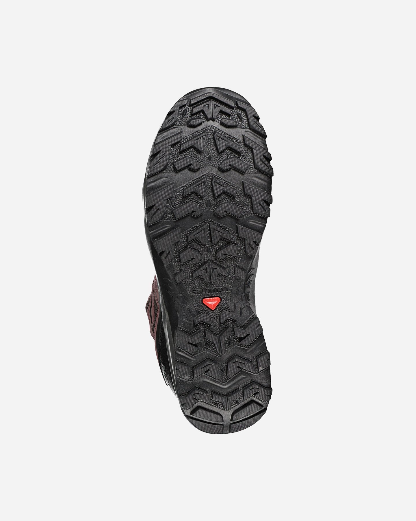 Scarpe trail SALOMON BARRAKEE W - Grigio - 2 | Cisalfa Sport