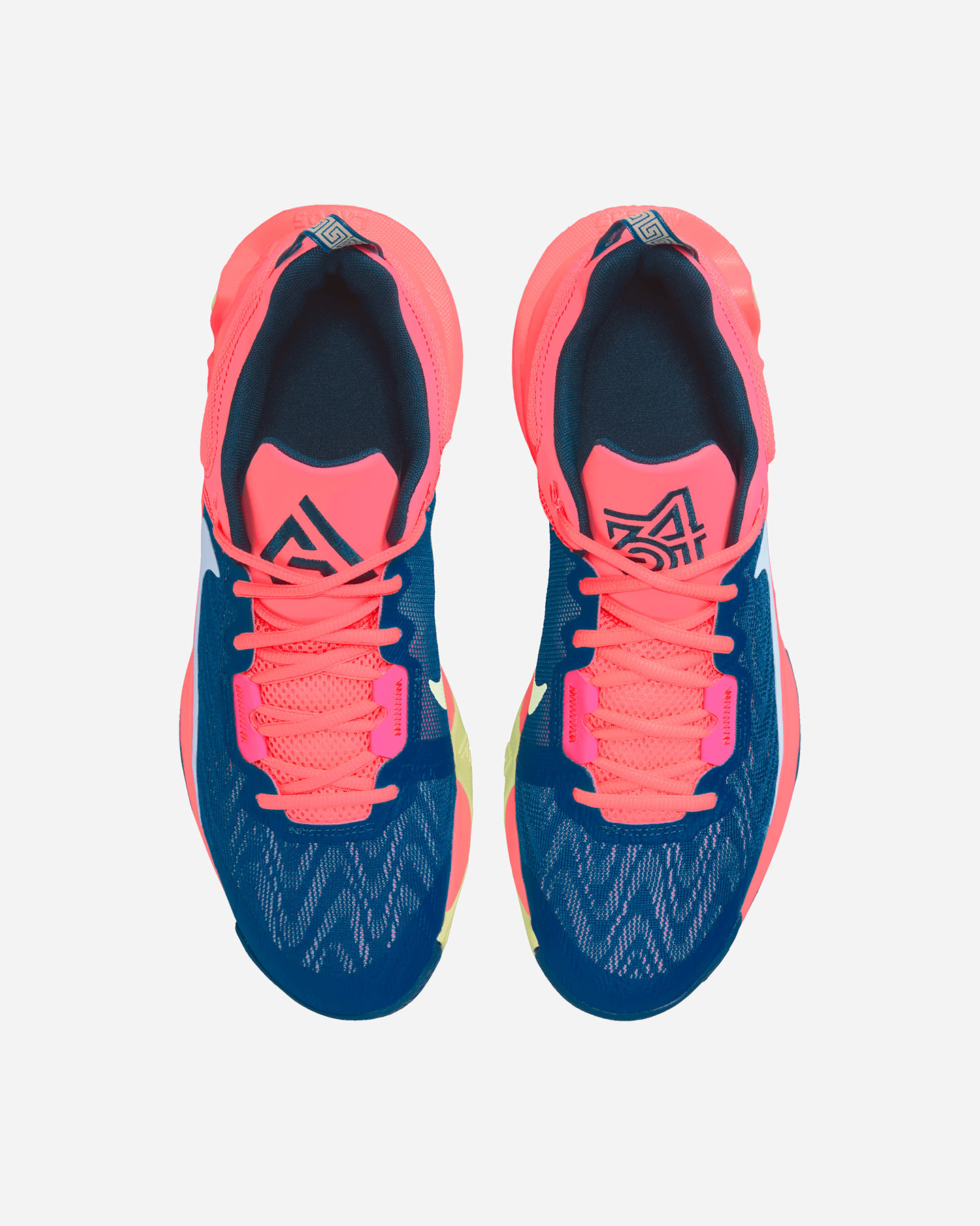 Scarpe basket NIKE GIANNIS IMMORTALITY 2 M - 15 | Cisalfa Sport