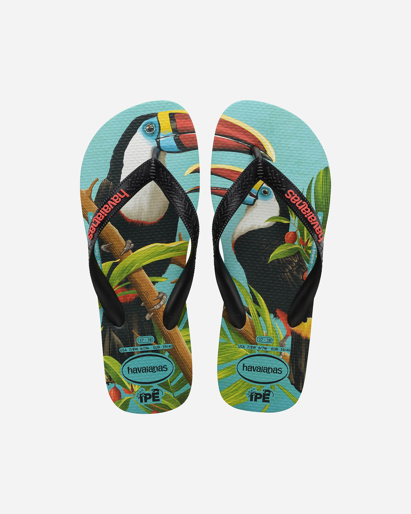 Infradito HAVAIANAS IPE W - 0 | Cisalfa Sport