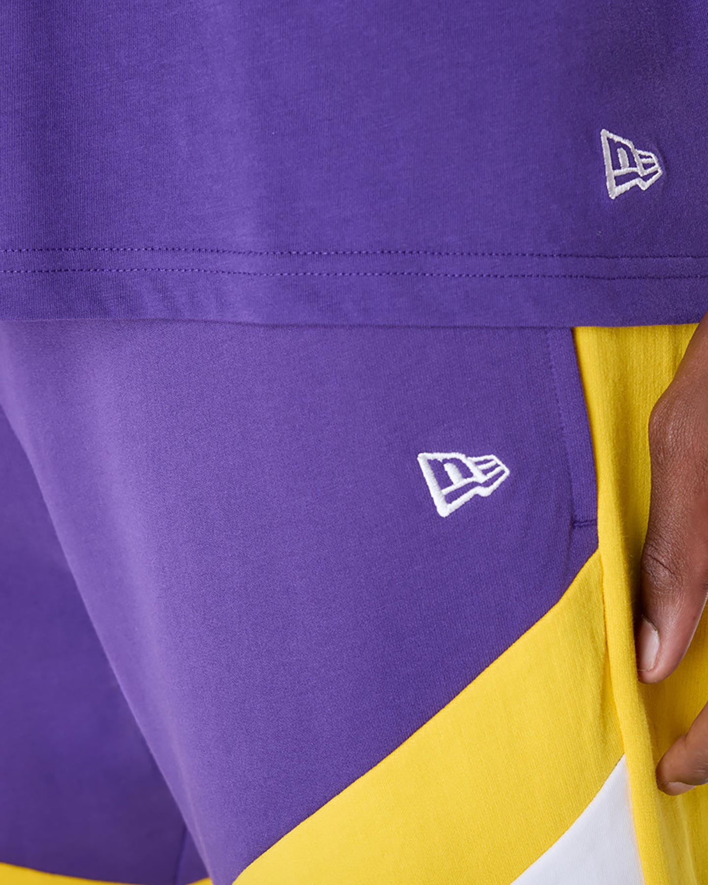 Abbigliamento basket NEW ERA PANEL LAKERS M - Viola - 5 | Cisalfa Sport
