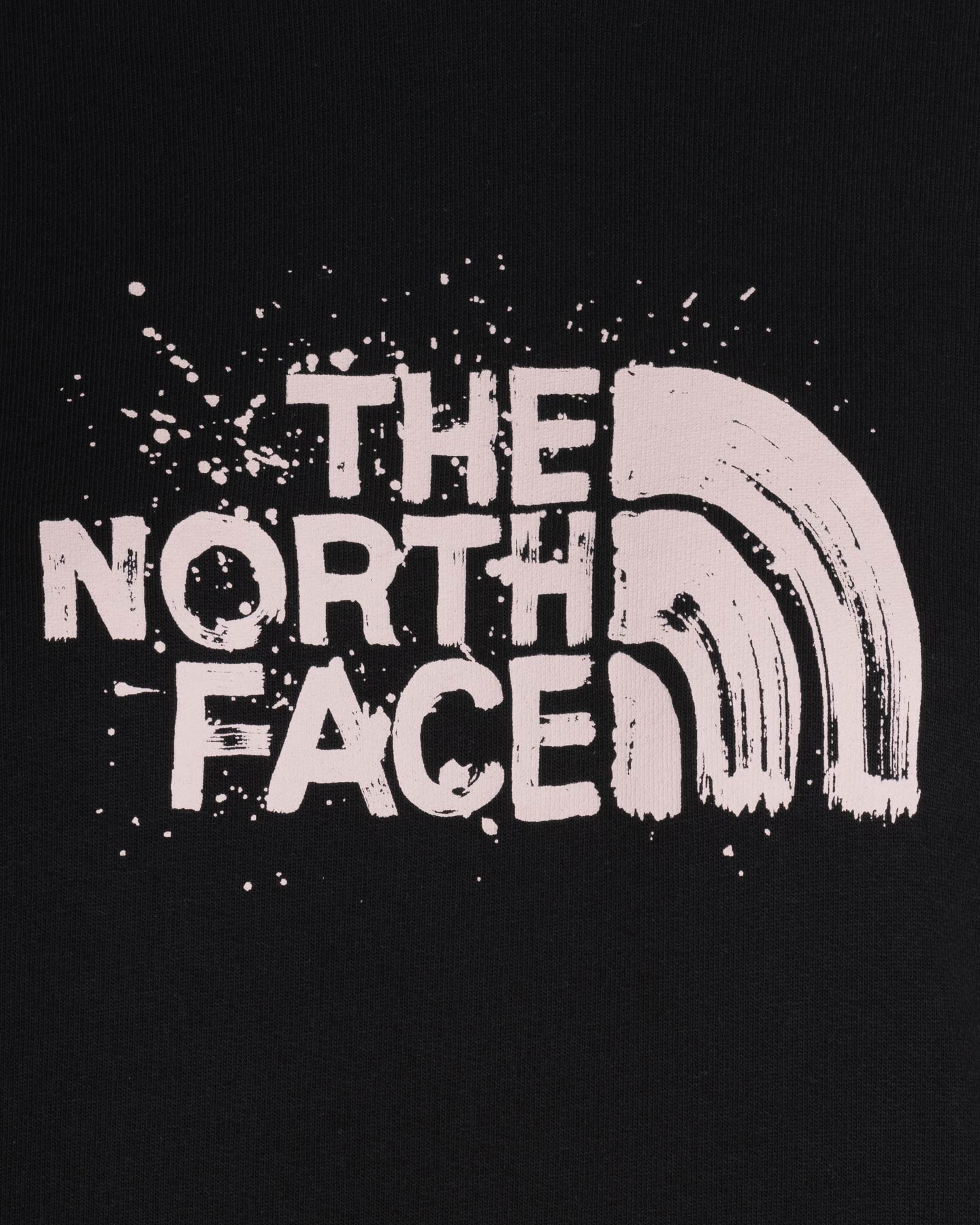 Felpa THE NORTH FACE LOGO ALL OVER W - 2 | Cisalfa Sport