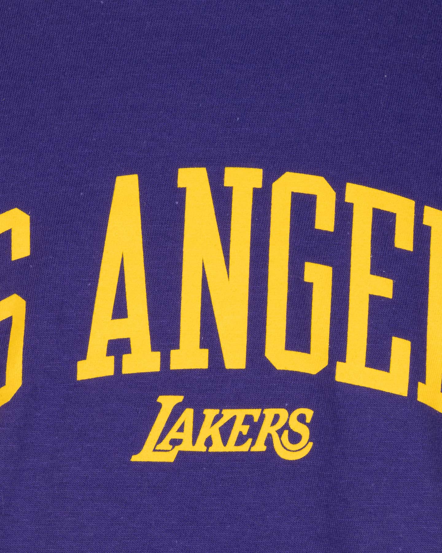 Abbigliamento basket NIKE COURTSIDE MAX90 2 LAKERS JR - Viola - 2 | Cisalfa Sport