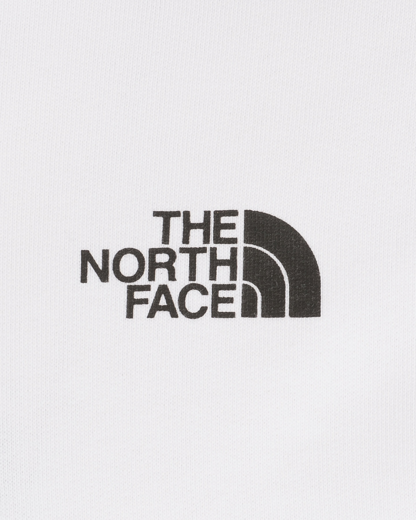 Felpa THE NORTH FACE ODLES CLOSE BIG LOGO M - Bianco - 2 | Cisalfa Sport