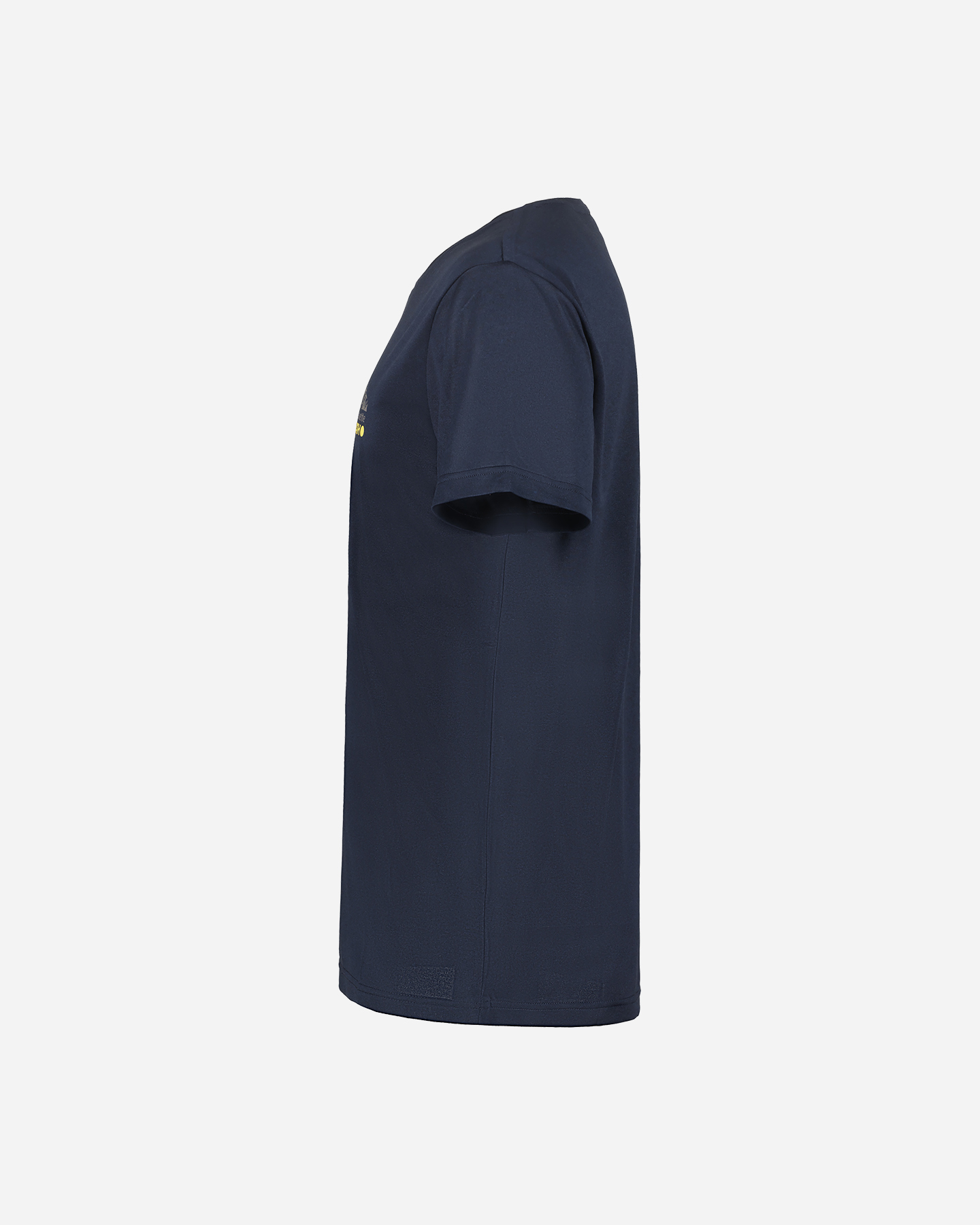 T-shirt ICEPEAK BEARDEN M - Blu - 1 | Cisalfa Sport