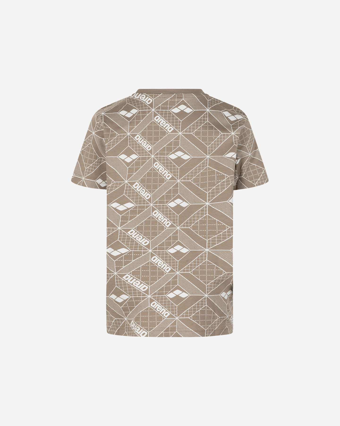 T-shirt ARENA PRINTED JR - Marrone - 1 | Cisalfa Sport