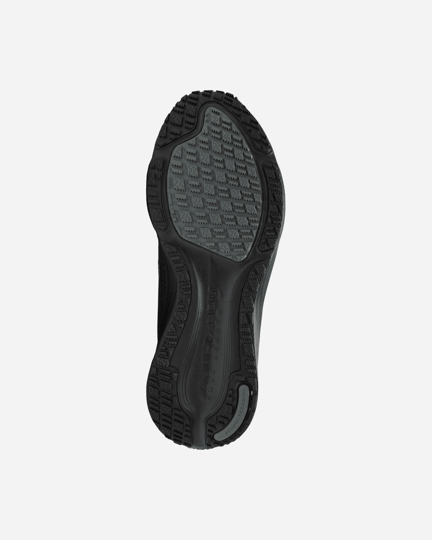 Scarpe running NIKE PEGASUS 42 GORE TEX W - 2 | Cisalfa Sport