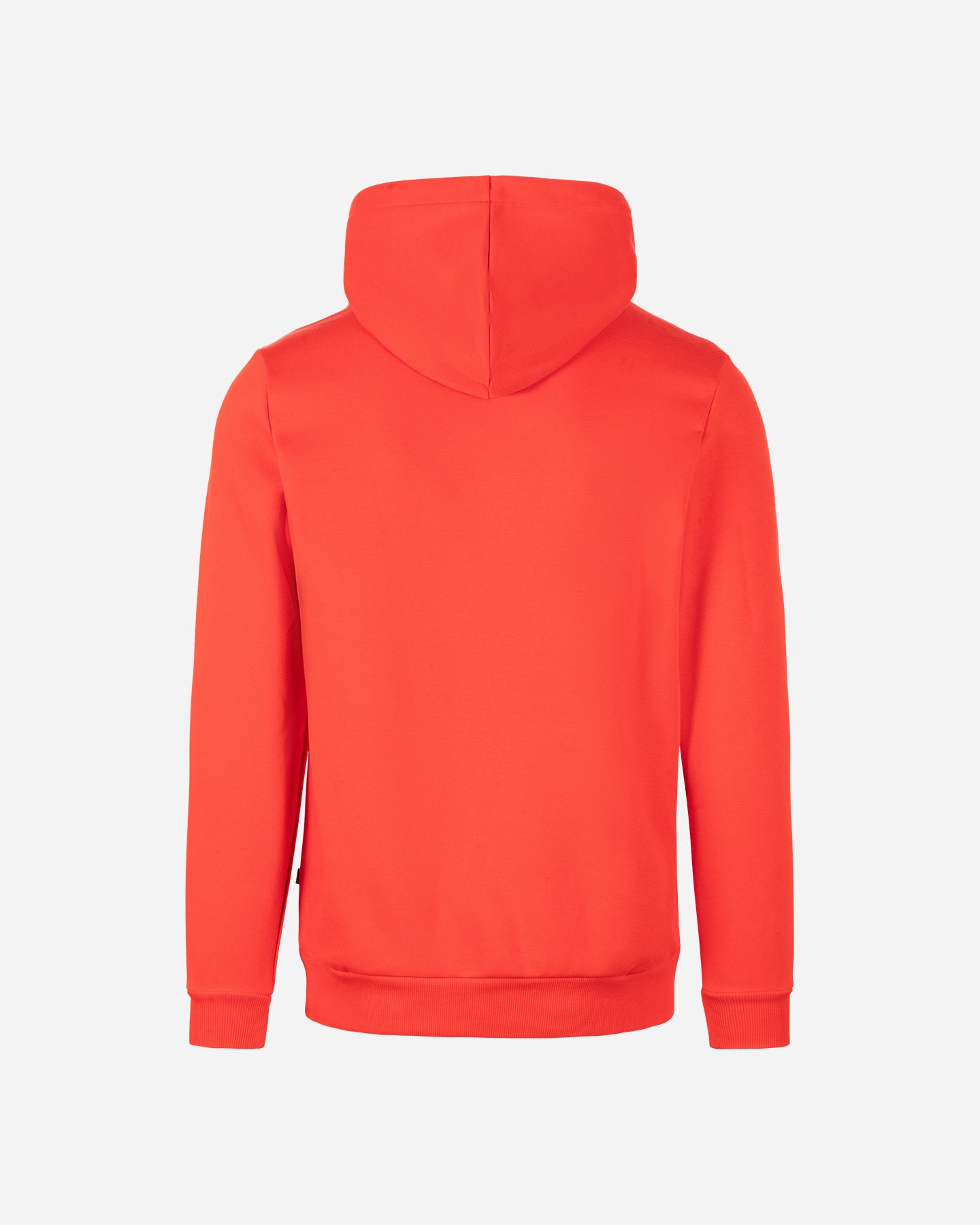 Felpa PUMA GFX LOGO LAB M - Rosso - 1 | Cisalfa Sport