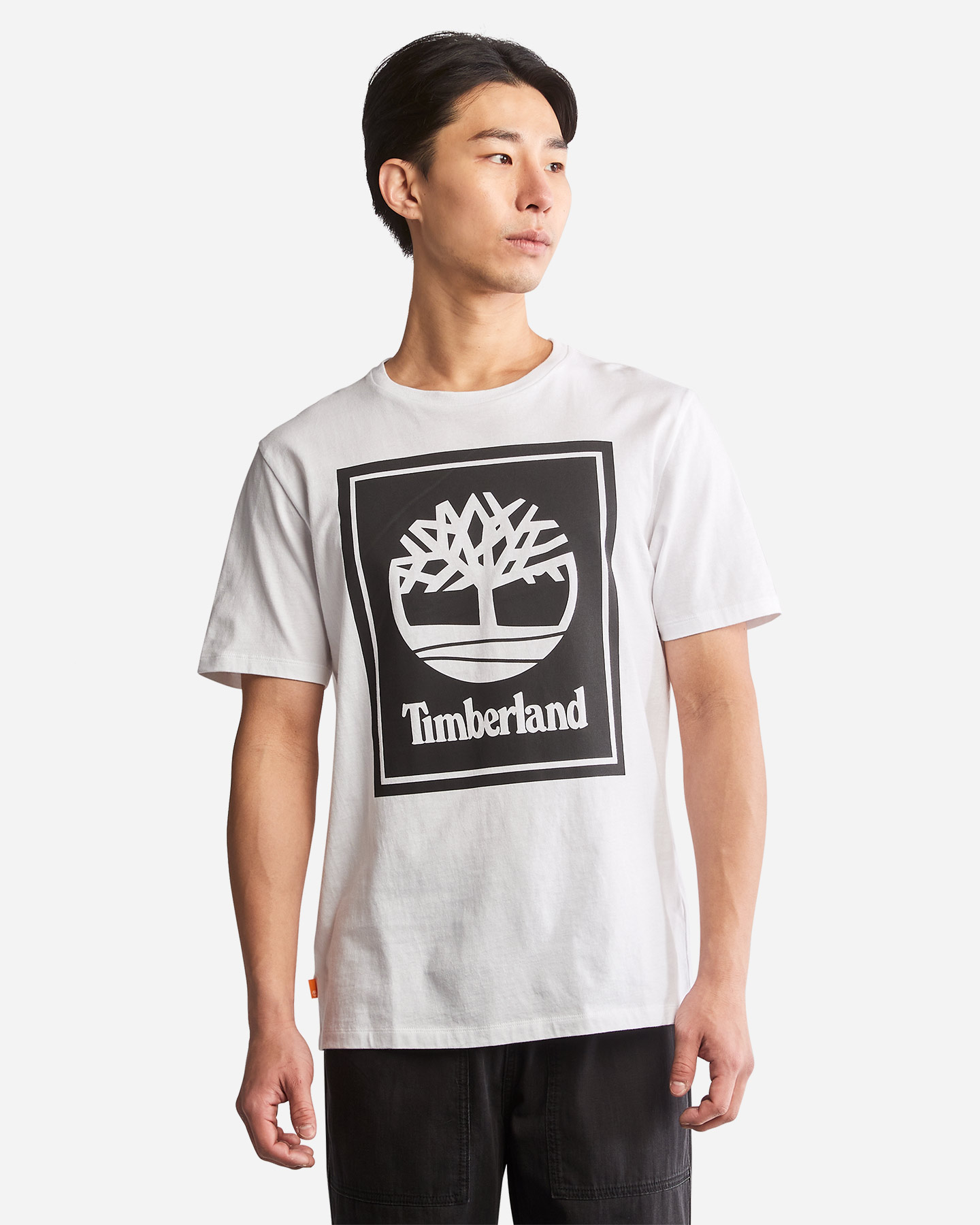 T-shirt TIMBERLAND TREE LOGO BOX M - Bianco - 1 | Cisalfa Sport