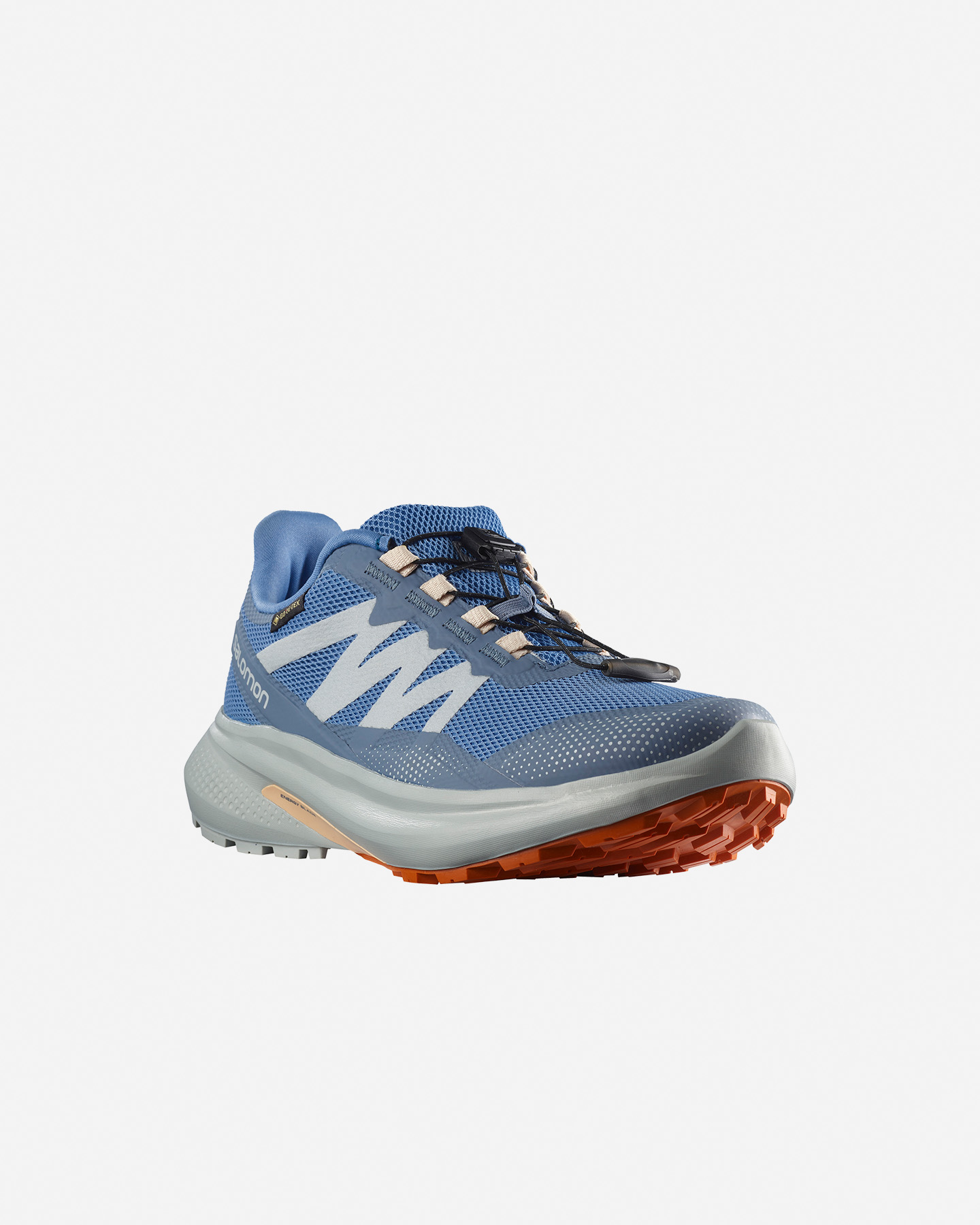 Scarpe trail SALOMON HYPULSE GTX W - 1 | Cisalfa Sport
