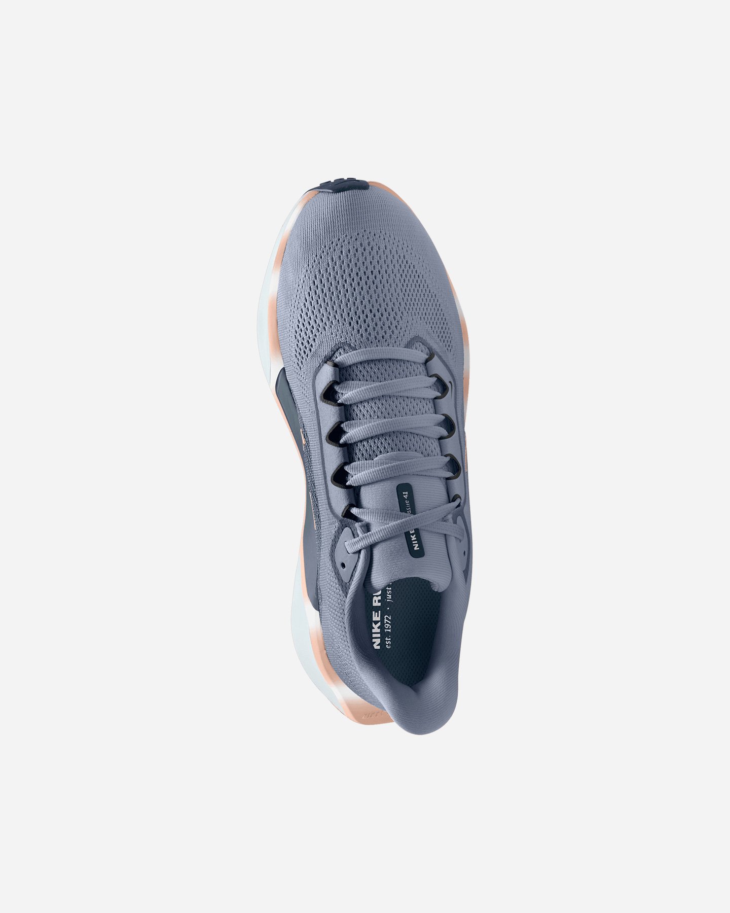 Scarpe running NIKE PEGASUS 41 W - Color mix - 2 | Cisalfa Sport