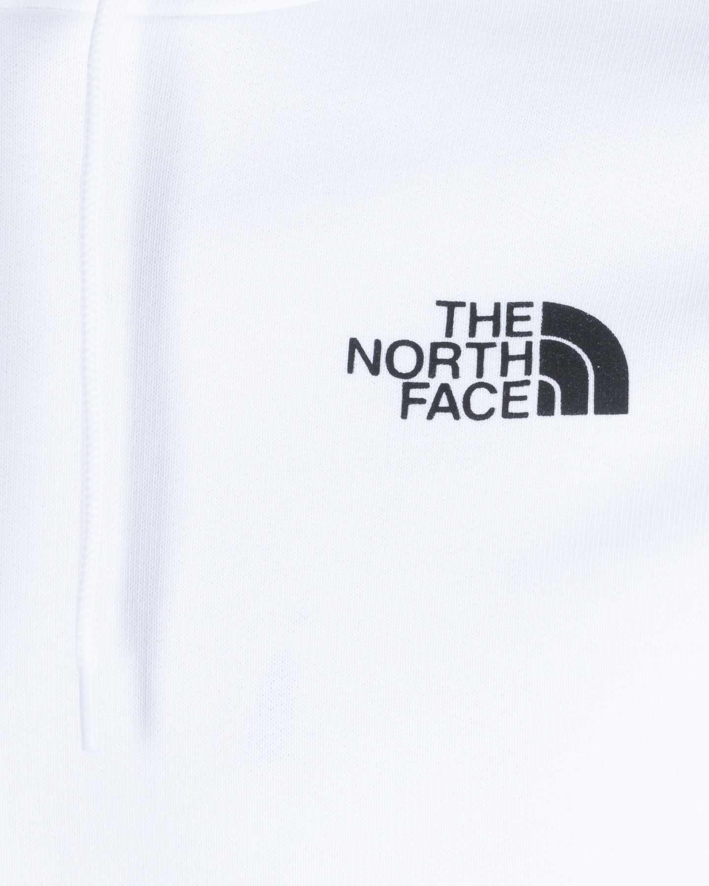 Felpa THE NORTH FACE NEW ODLES M - 2 | Cisalfa Sport