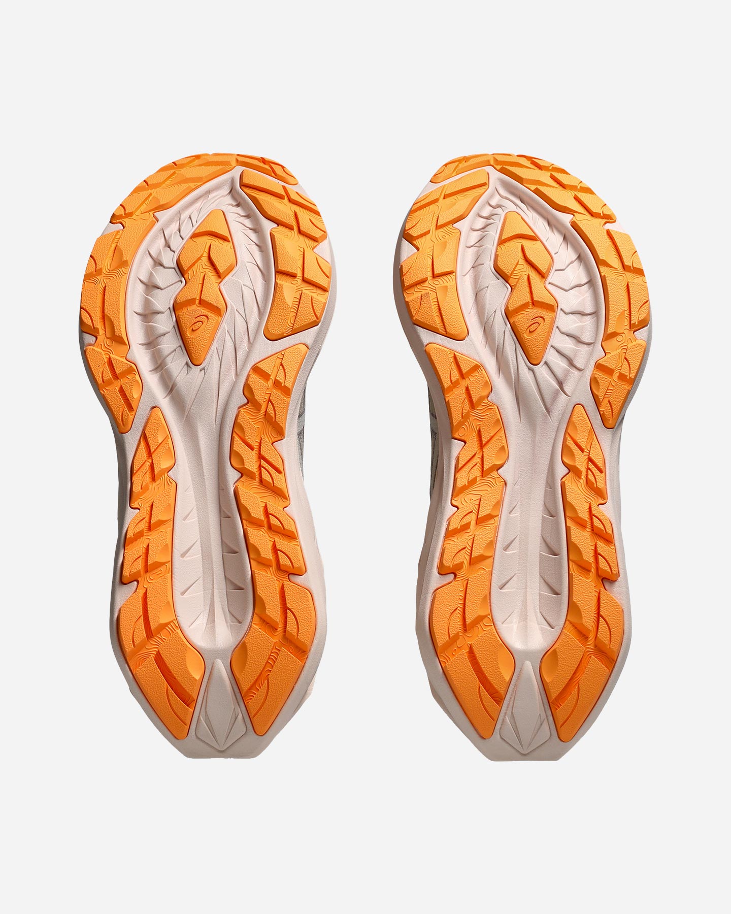 Scarpe running ASICS NOVABLAST 4 TR W - Grigio - 2 | Cisalfa Sport