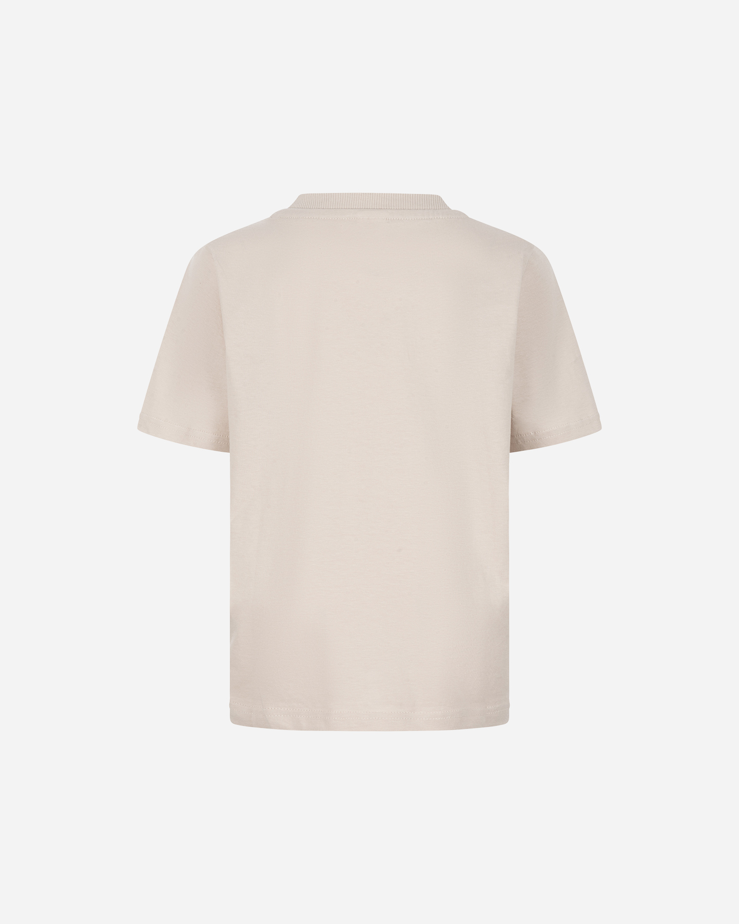 T-shirt ARENA ATHLETIC JR - Grigio - 1 | Cisalfa Sport