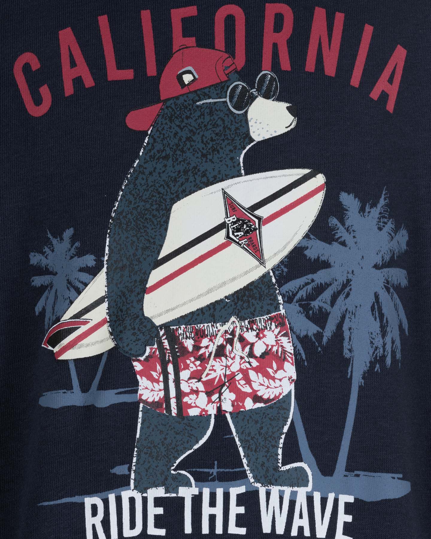 Felpa BEAR SURFER CONCEPT JR - Blu - 2 | Cisalfa Sport