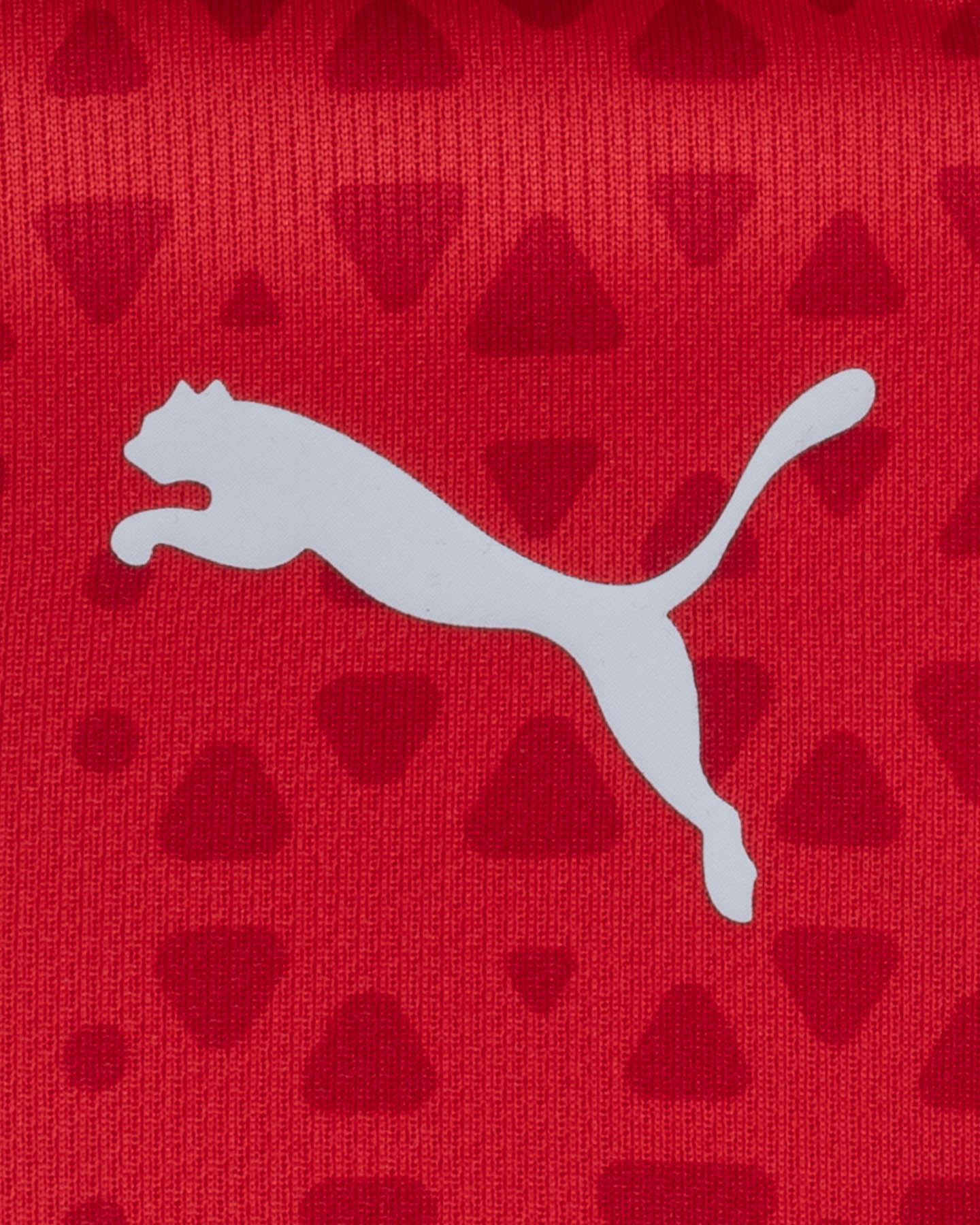 Abbigliamento calcio ufficiale PUMA MILAN TRAINING 23-24 JR - 2 | Cisalfa Sport