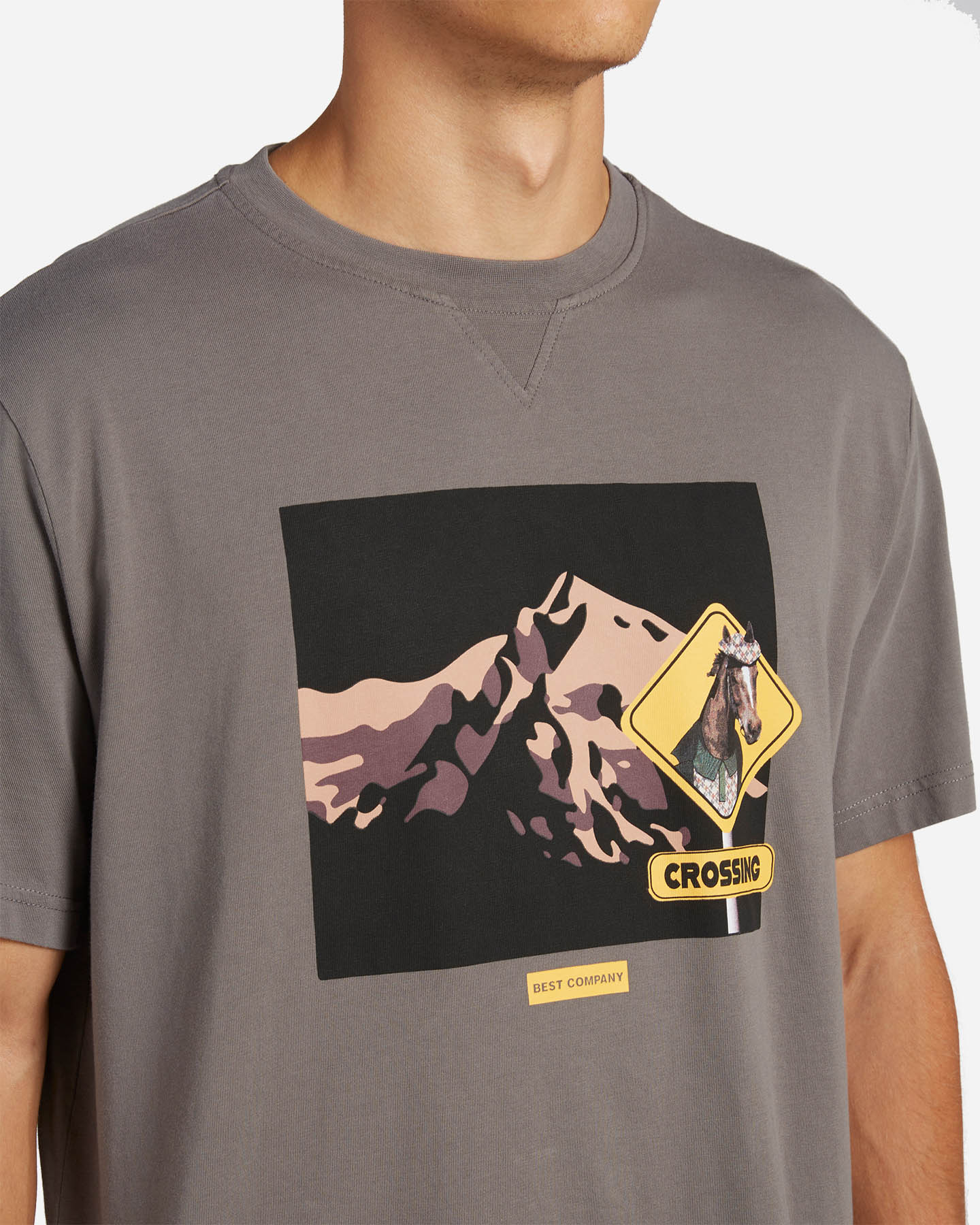 T-shirt BEST COMPANY GRAPHIC M - Grigio - 4 | Cisalfa Sport