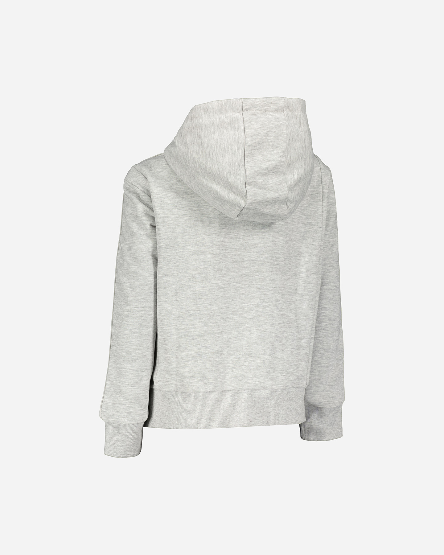 Felpa ARENA ADVANCE LOGO JR - 4 | Cisalfa Sport