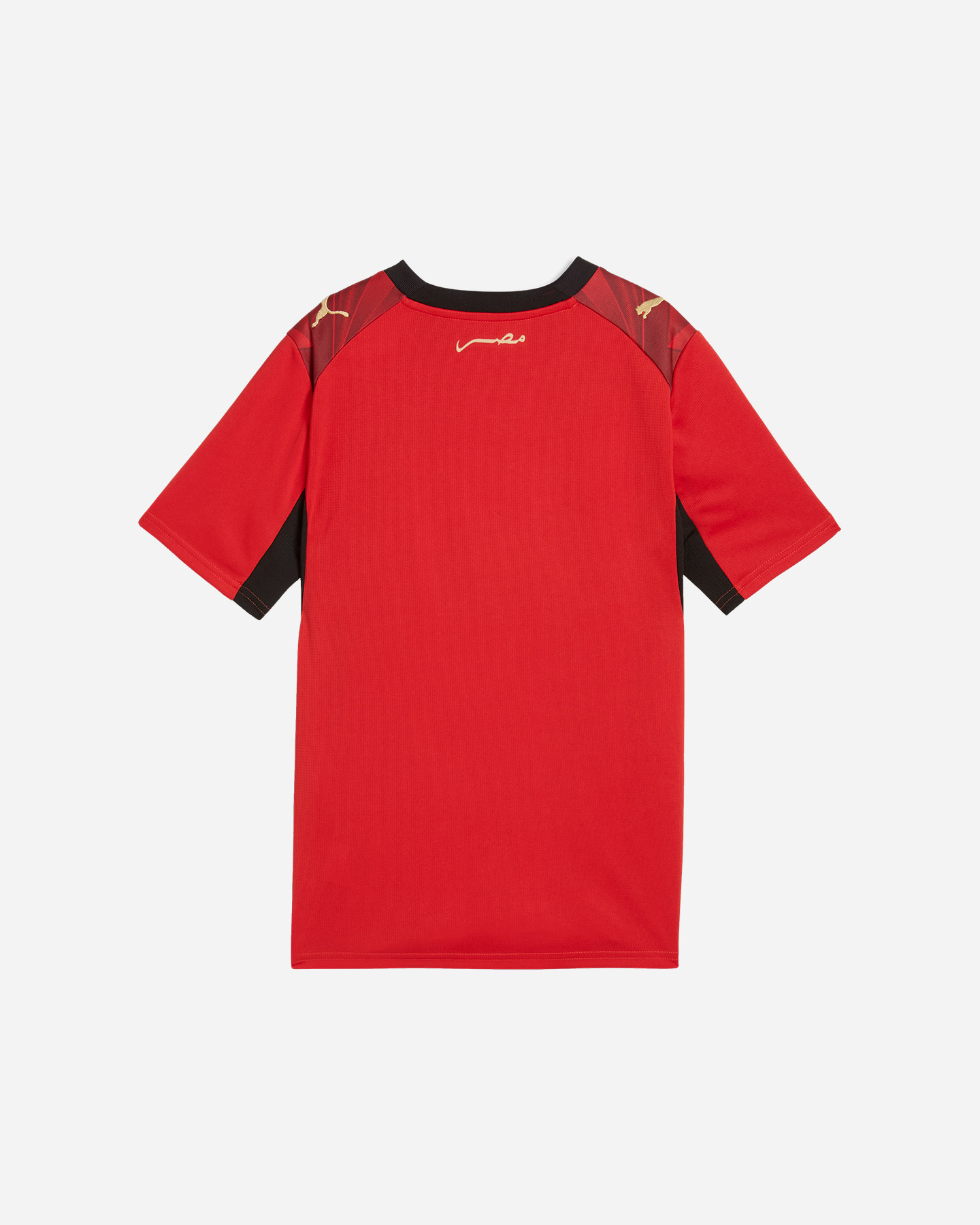 Maglia calcio ufficiale PUMA EGITTO HOME 26 JR - Color mix - 1 | Cisalfa Sport