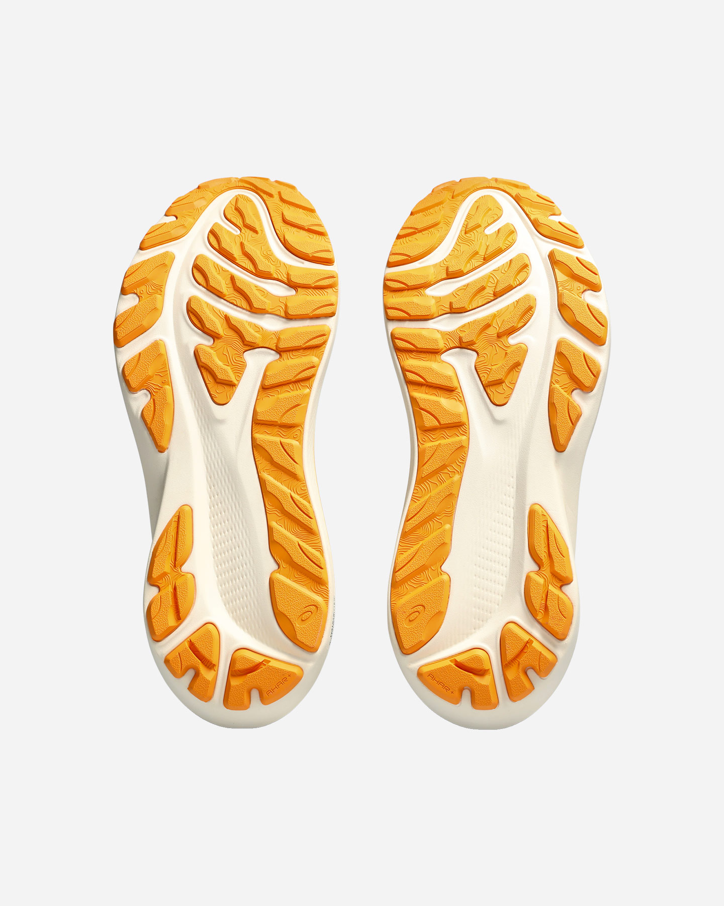 Scarpe trail ASICS GT-2000 12 TR M - Grigio - 2 | Cisalfa Sport