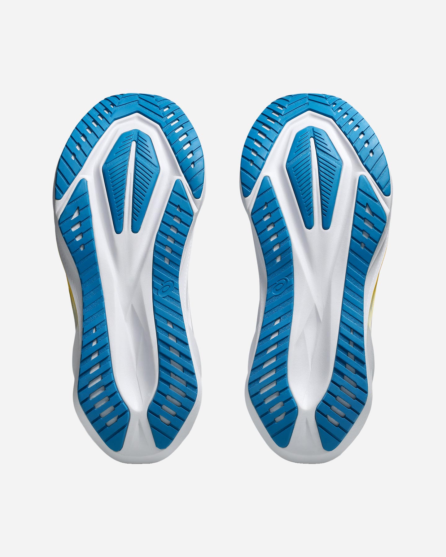 Scarpe running ASICS NOVABLAST 5 M - Bianco - 2 | Cisalfa Sport