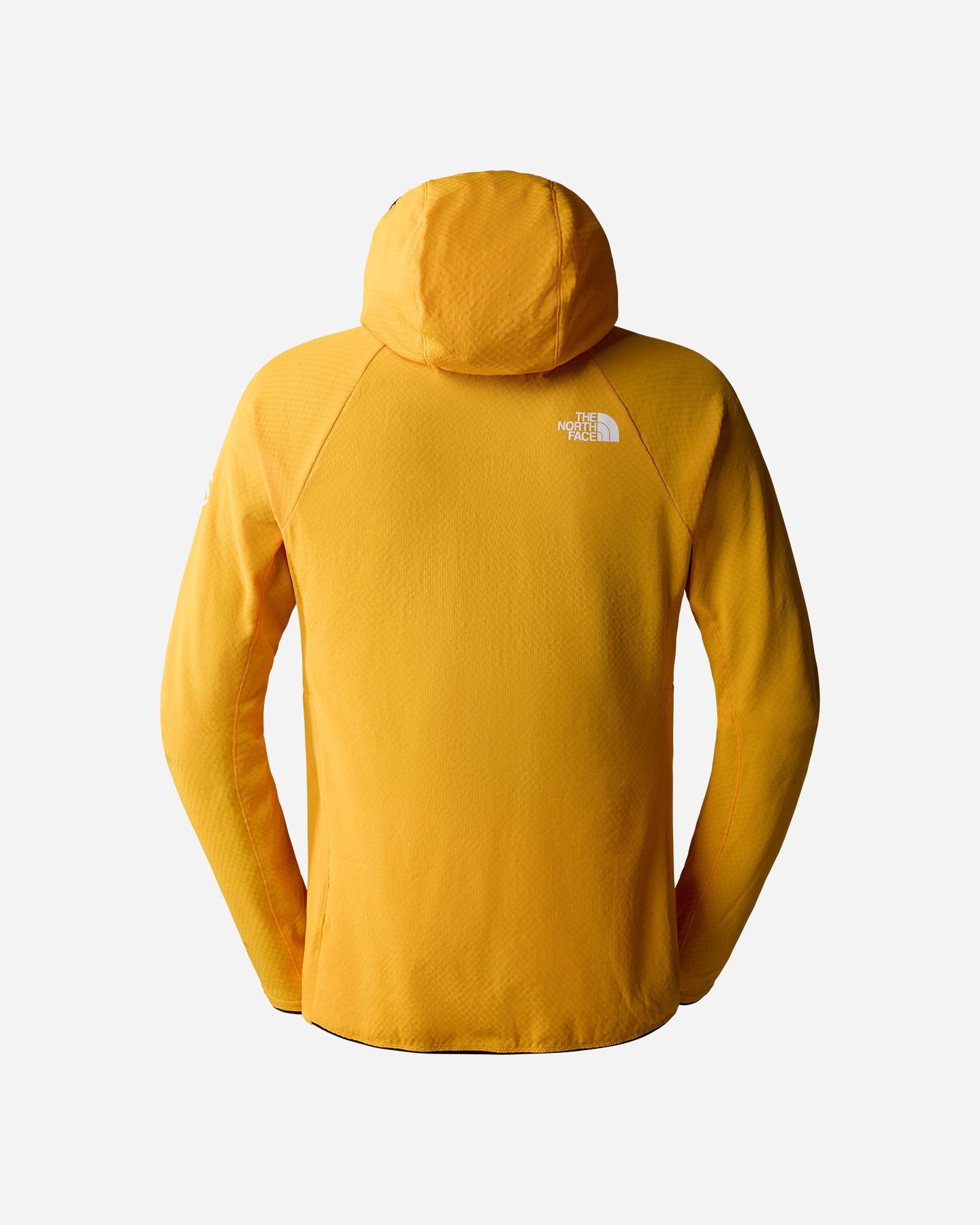 Pile THE NORTH FACE SUMMIT FUTUREFLEECE M - 1 | Cisalfa Sport