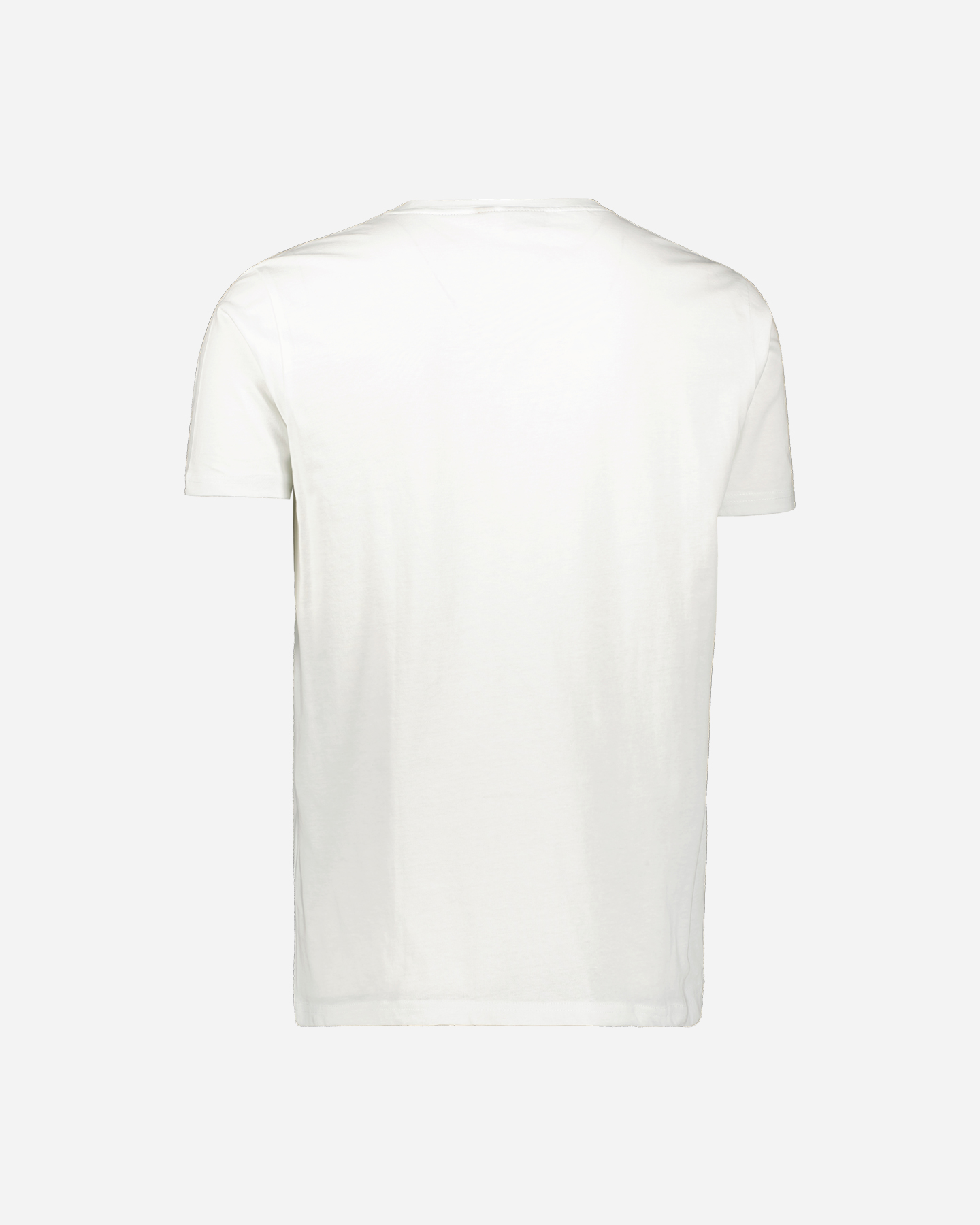 T-shirt BEAR PRINT FOTOGRAFICA M - Bianco - 1 | Cisalfa Sport