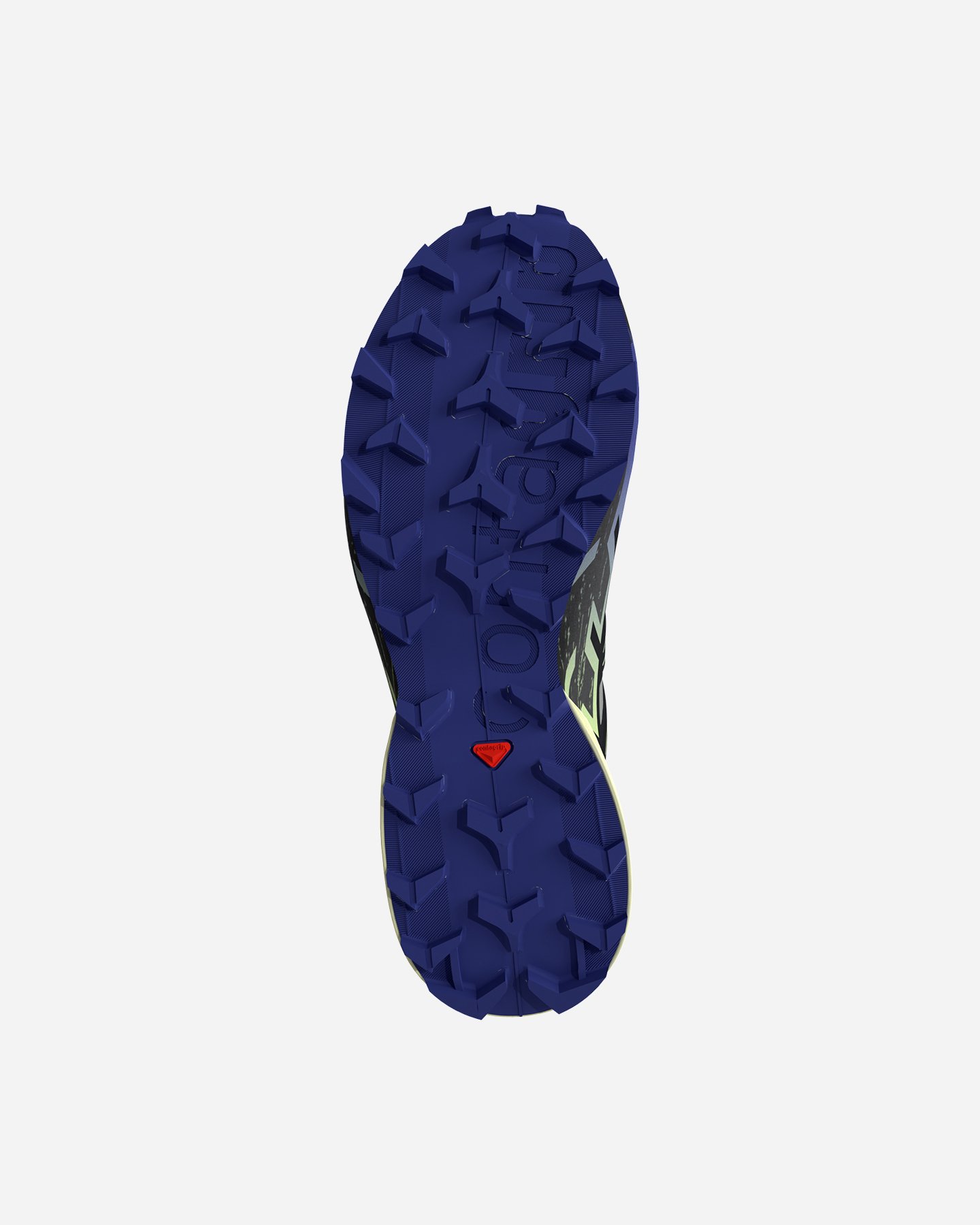 Scarpe trail SALOMON SPEEDCROSS 6 GTX W - Blu - 2 | Cisalfa Sport