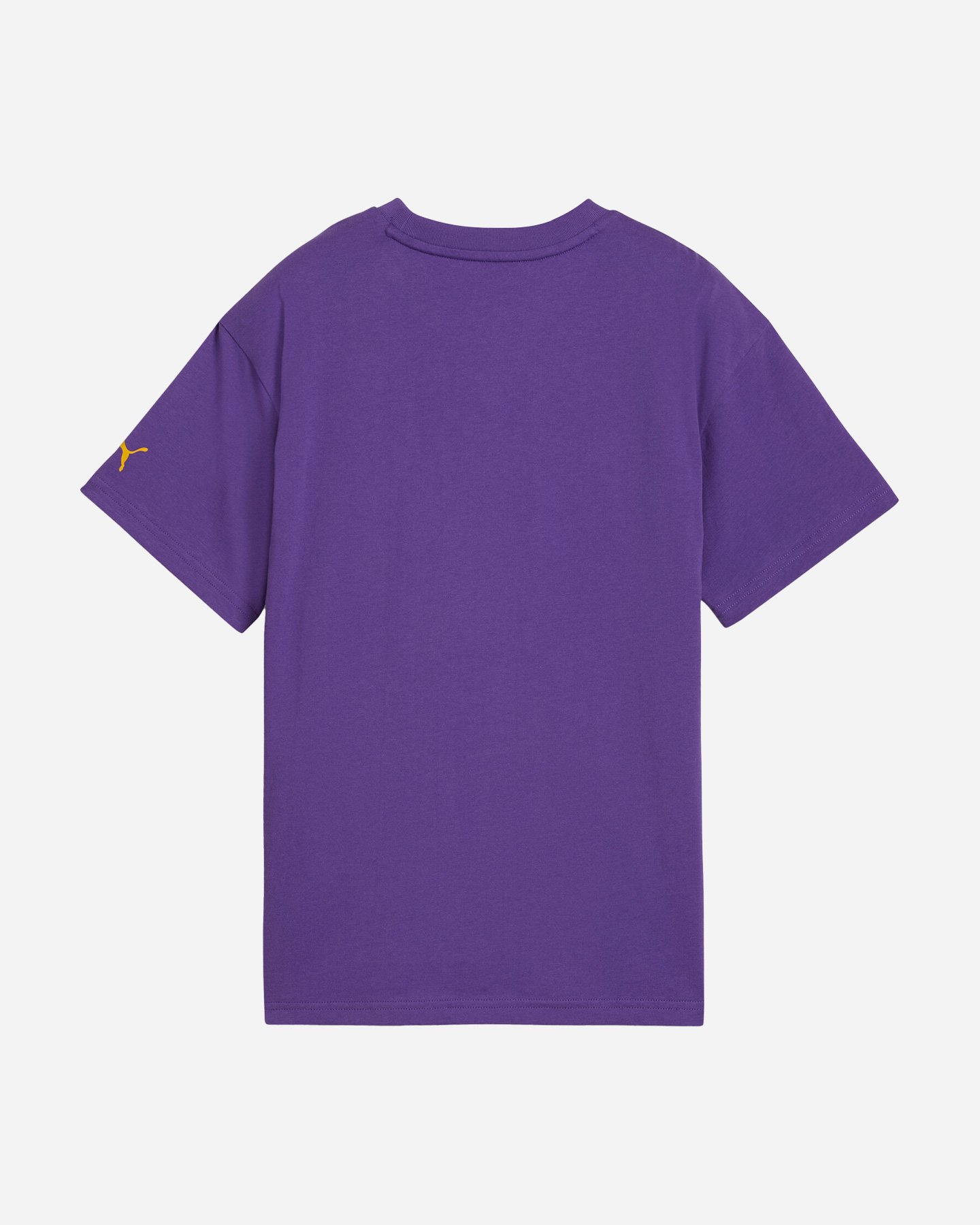 T-shirt PUMA HOOPS2 JR - Viola - 1 | Cisalfa Sport