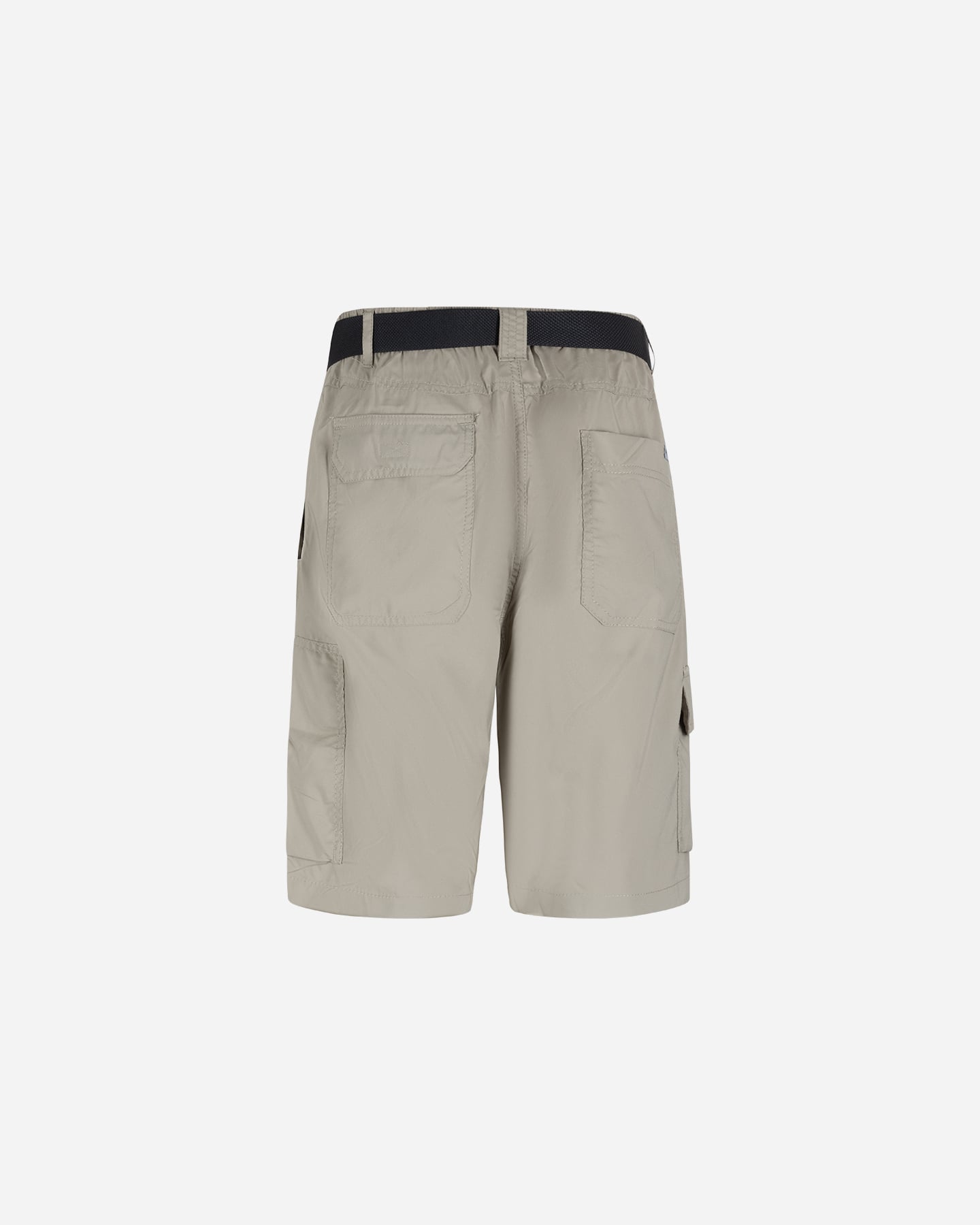 Pantaloncini COLUMBIA SILVER RIDGE M - Beige - 1 | Cisalfa Sport