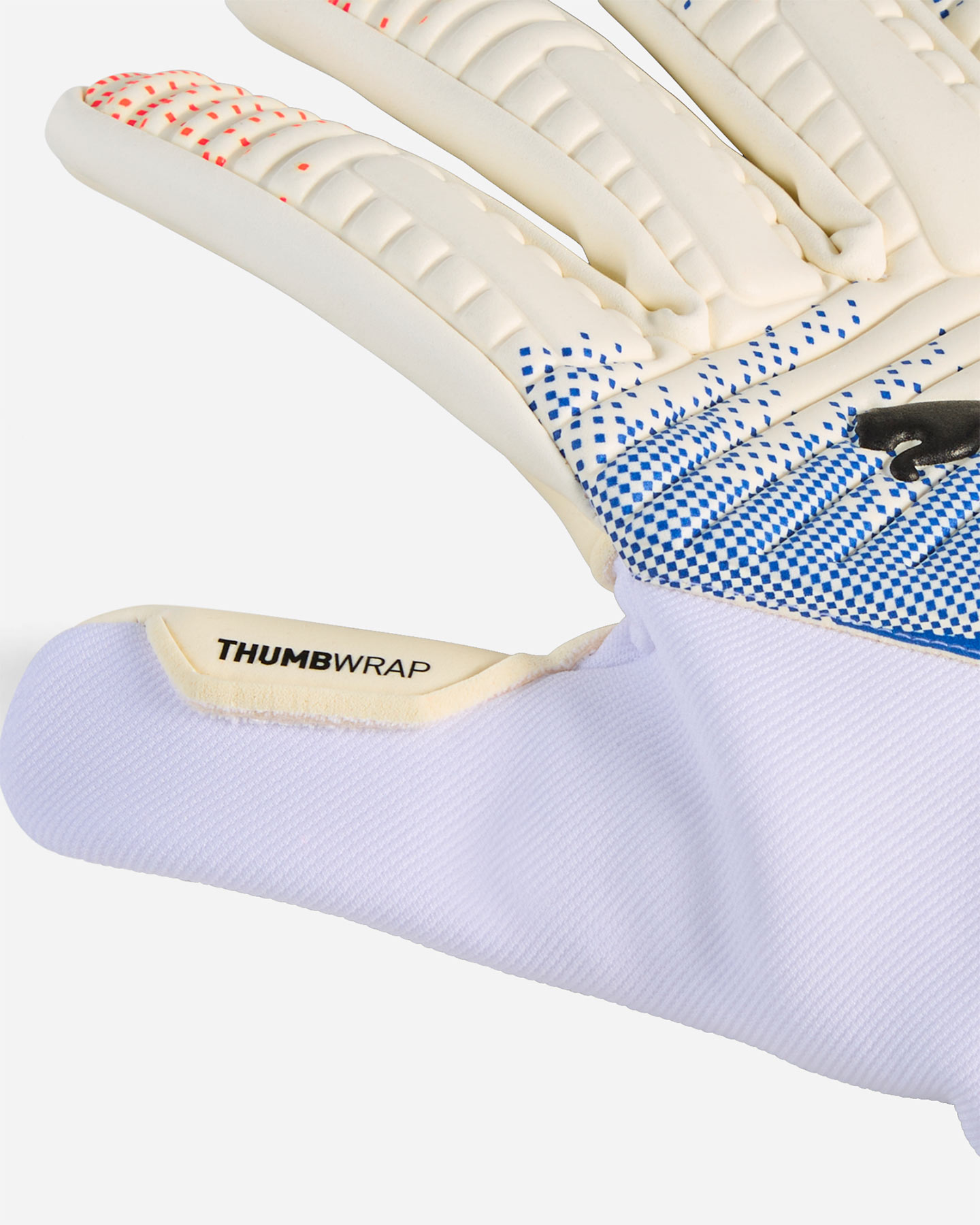 Guanti portiere PUMA FUTURE MATCH NC M - Color mix - 1 | Cisalfa Sport