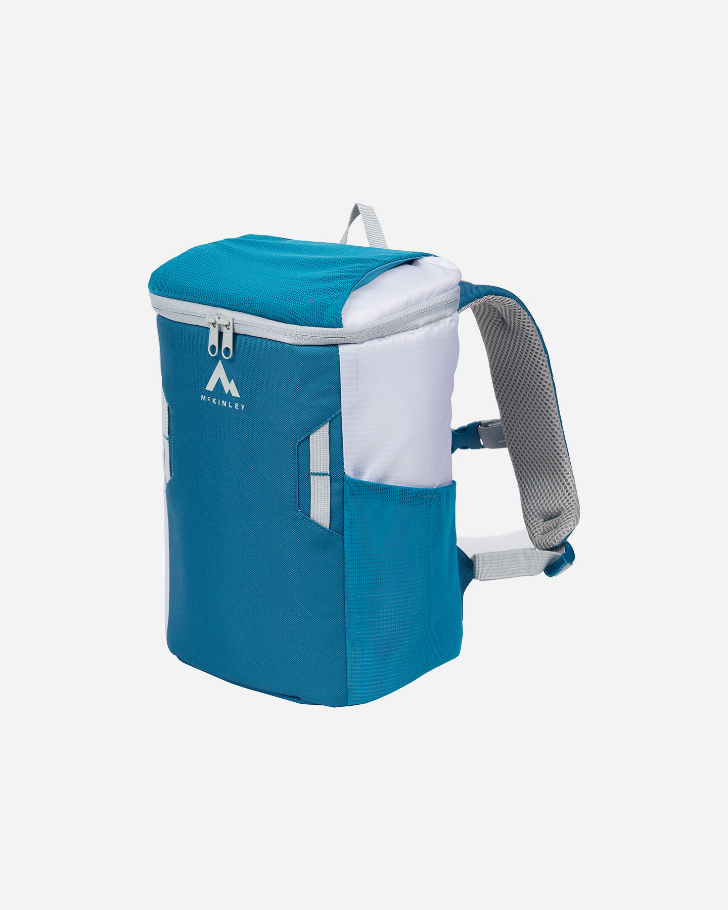 Accessorio camping MCKINLEY COOLER BAG IV 20  - Blu - 0 | Cisalfa Sport