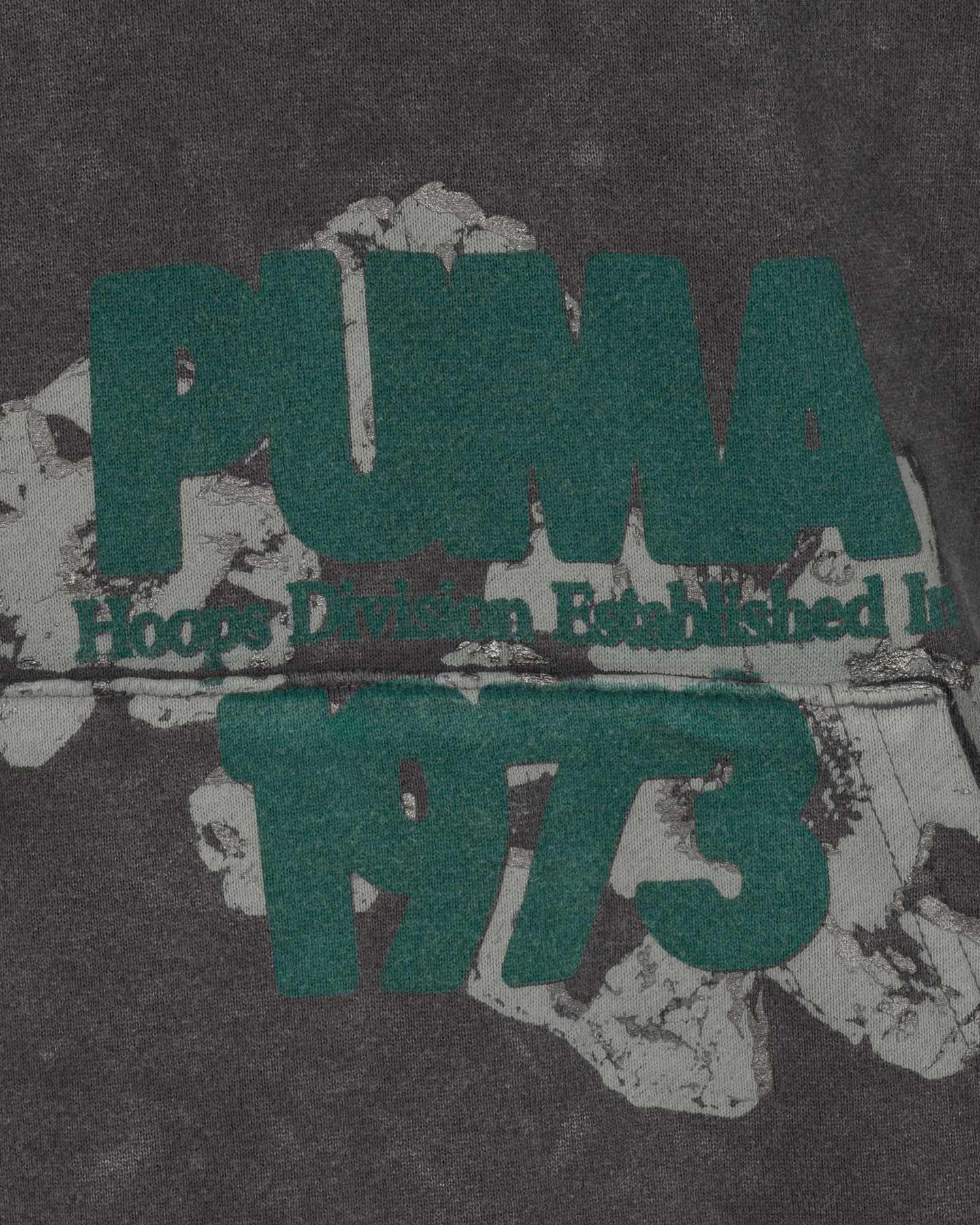 Felpa PUMA HOOPOCALYPSE 1973 M - Grigio - 2 | Cisalfa Sport