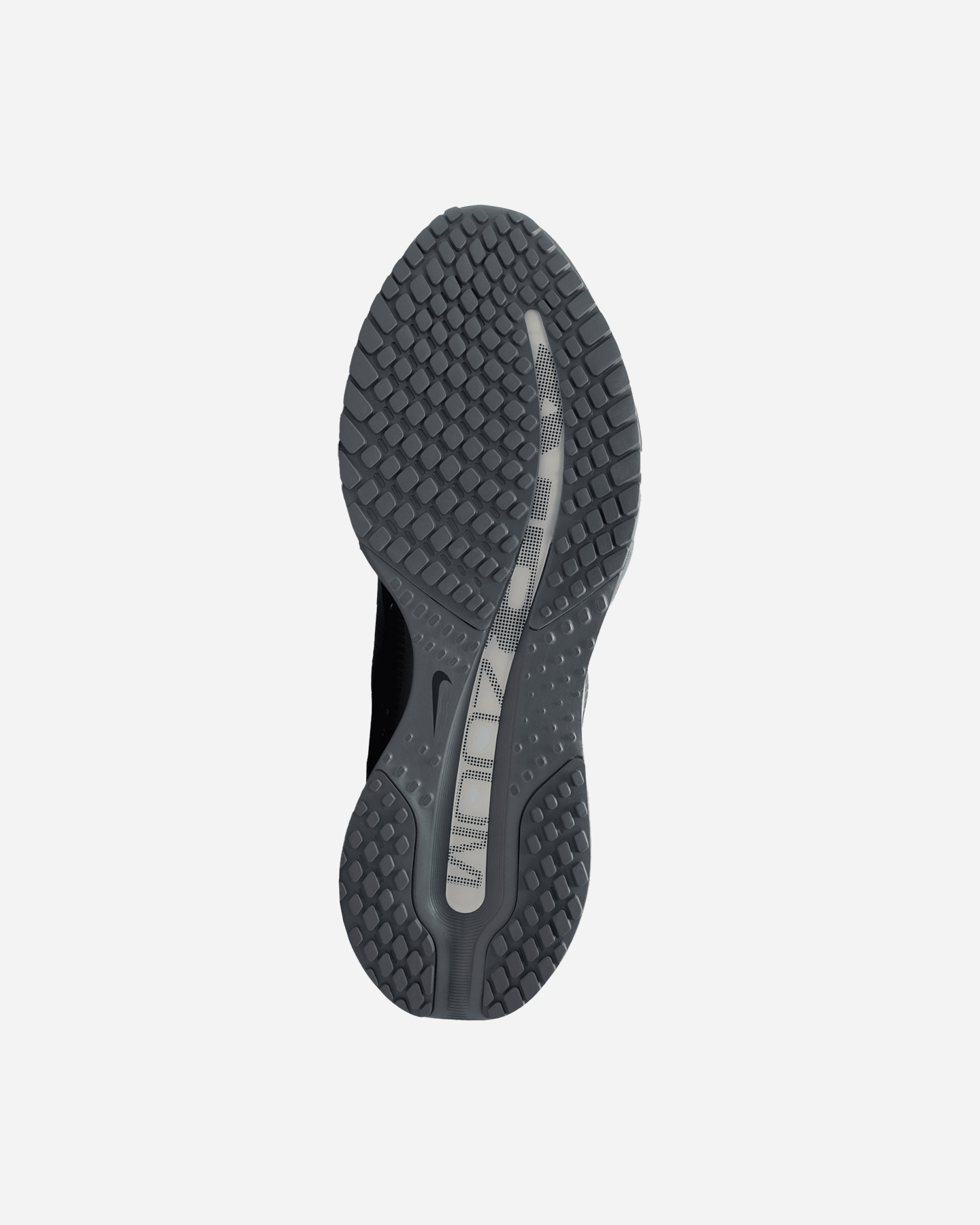 Scarpe running NIKE PEGASUS PREMIUM M - Grigio - 2 | Cisalfa Sport