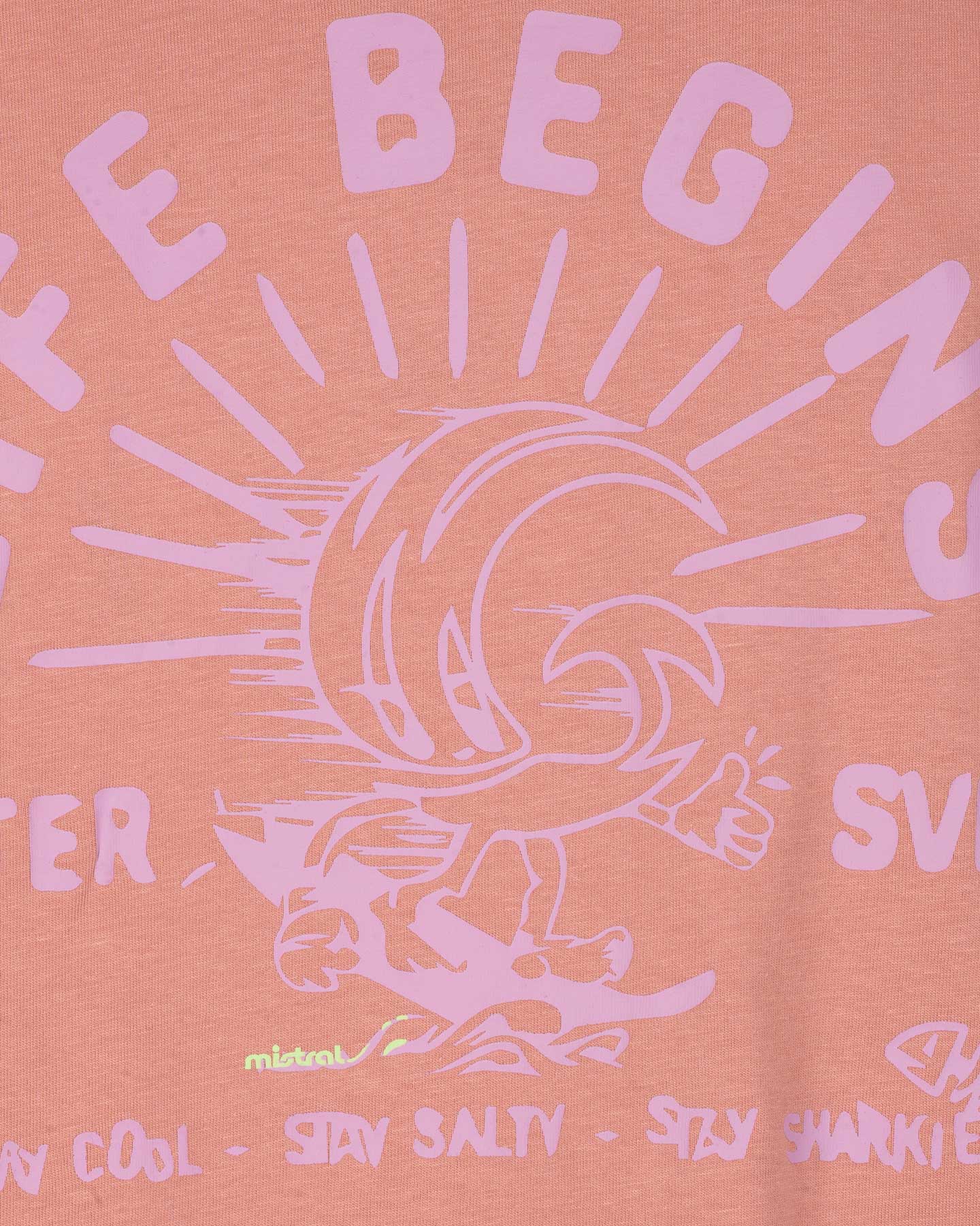T-shirt MISTRAL ADVENTURE DIVISION M - Rosa - 2 | Cisalfa Sport