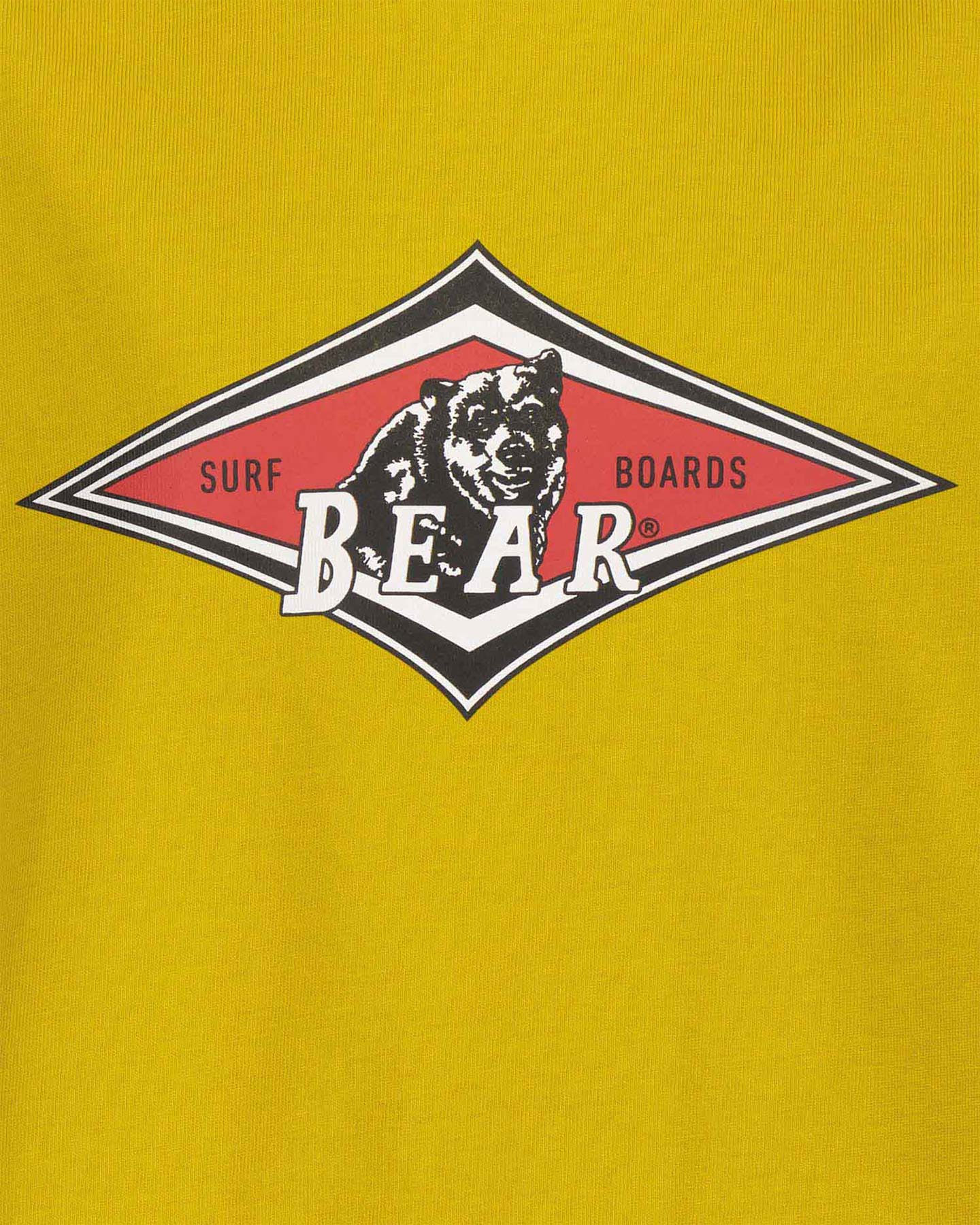 T-shirt BEAR ICONIC JR - 2 | Cisalfa Sport