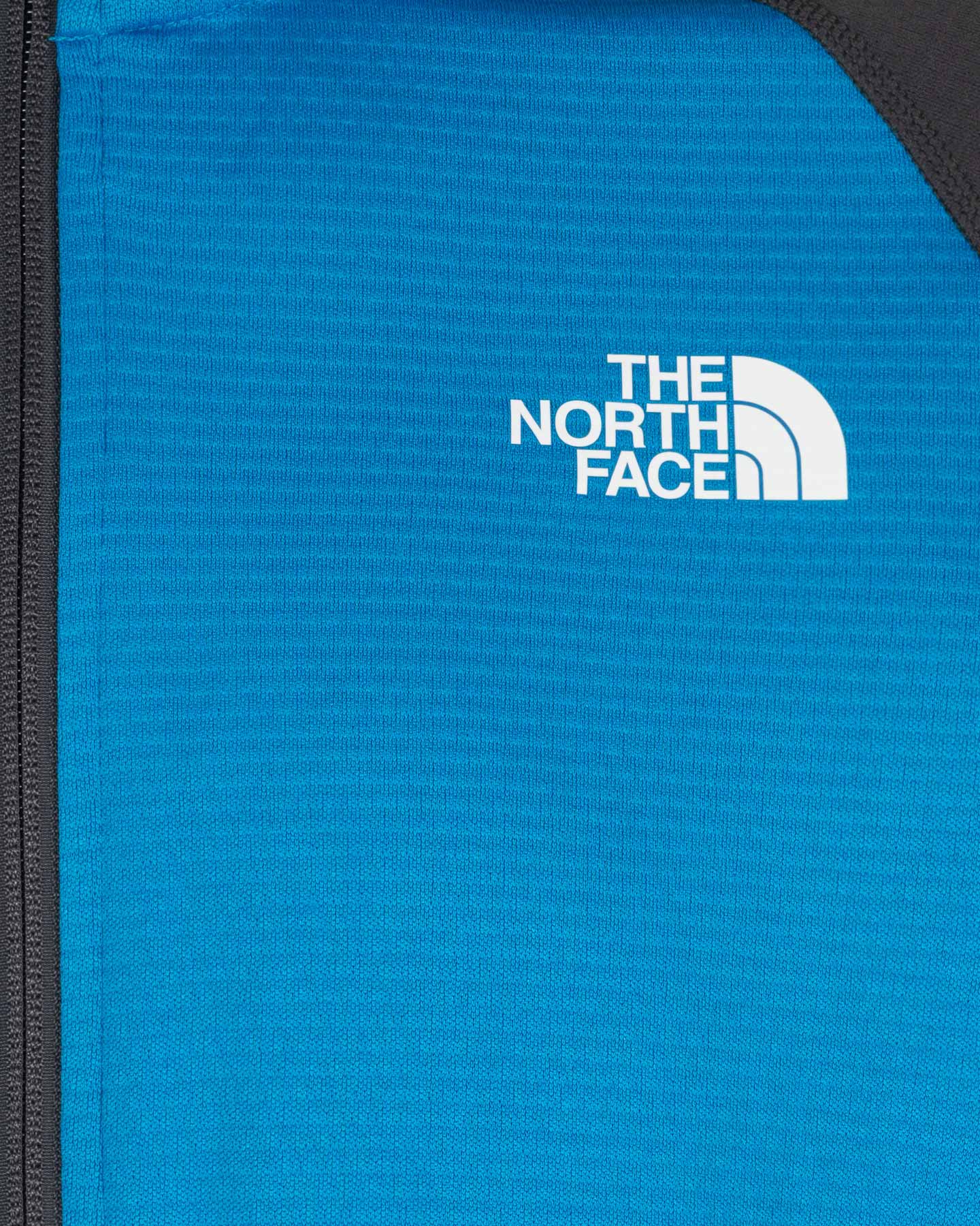 Pile THE NORTH FACE MUTTSEE M - Blu - 2 | Cisalfa Sport